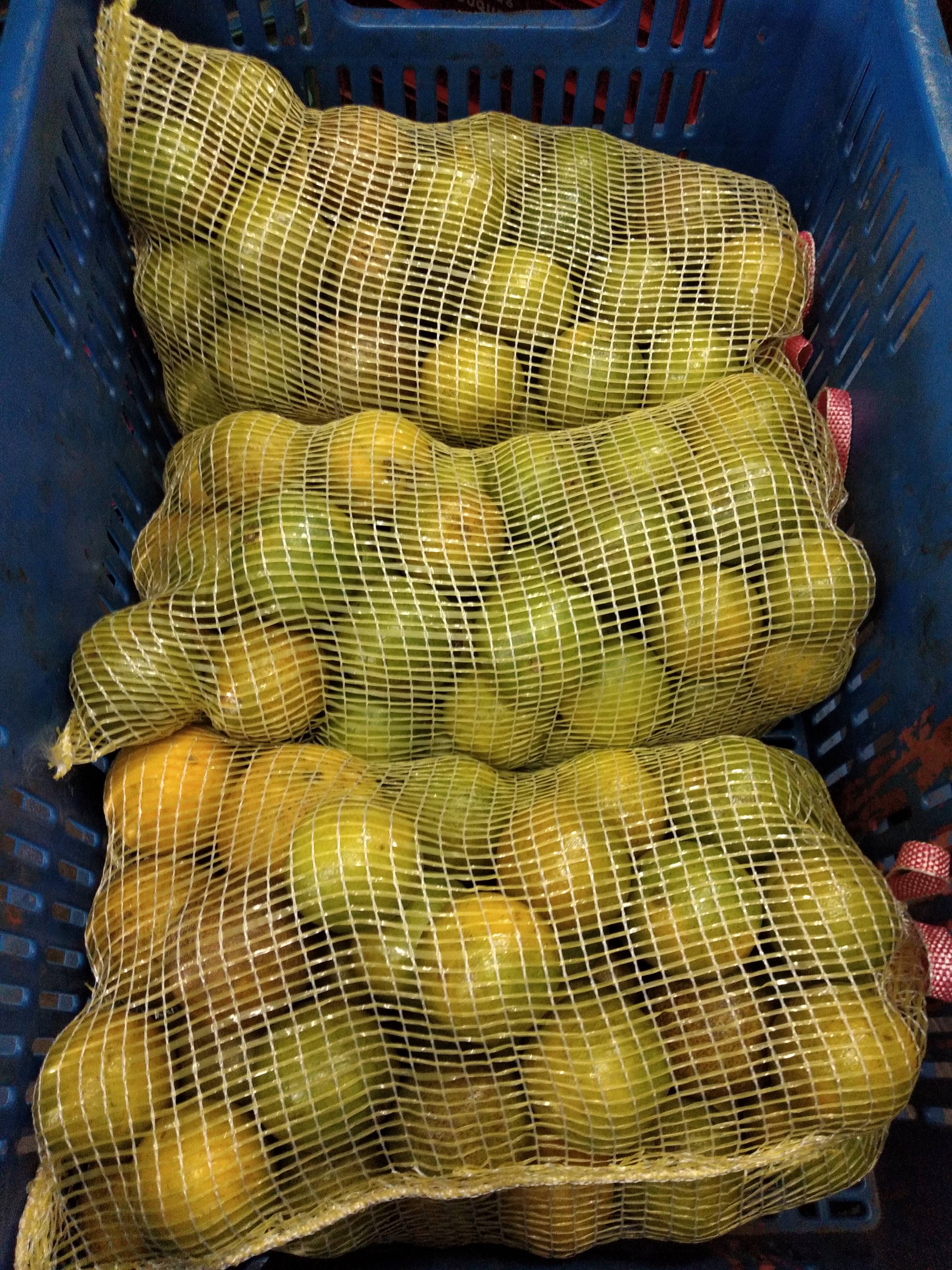 Tula de naranja x 5 kilos