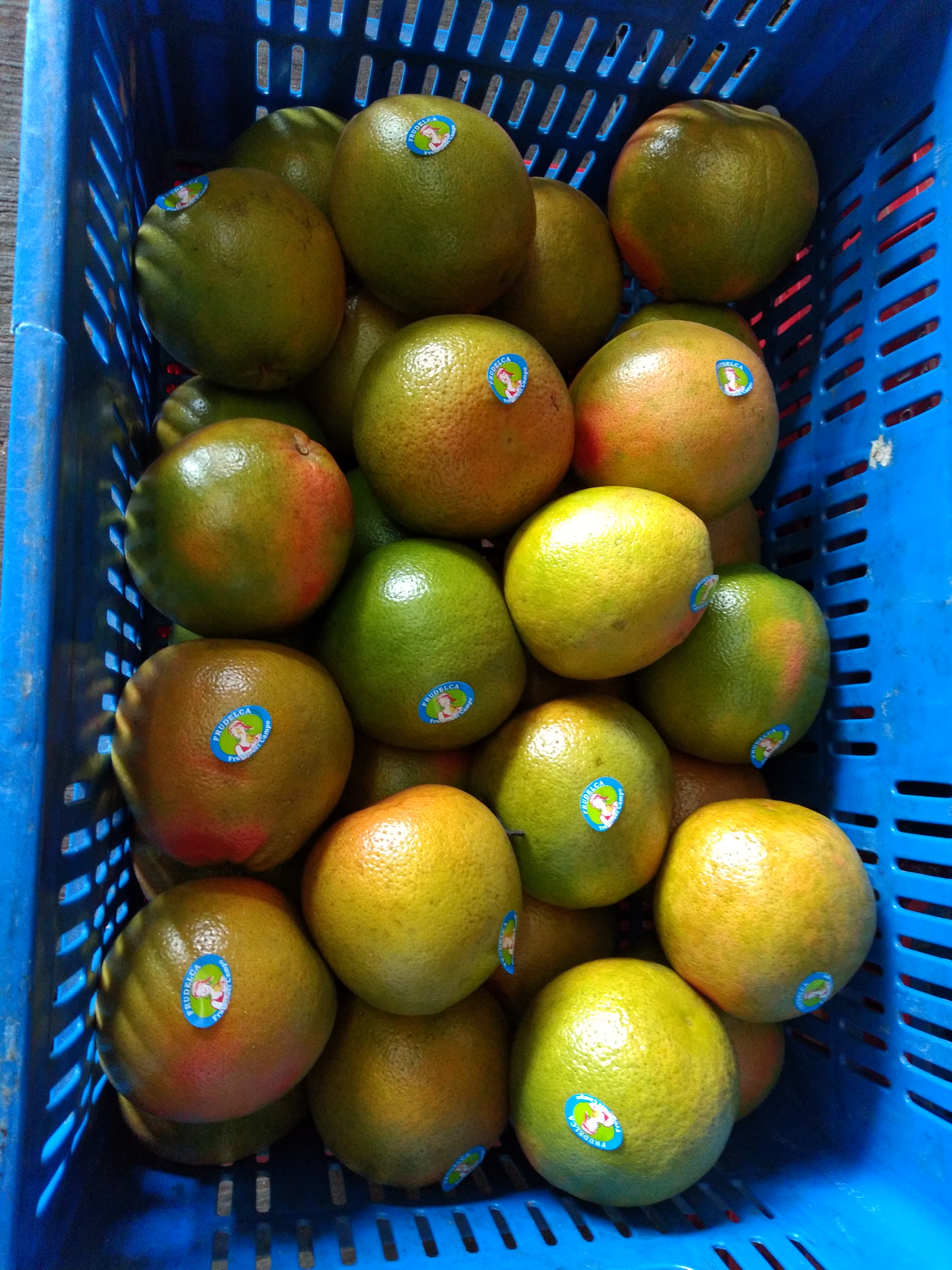 Naranja toronja
