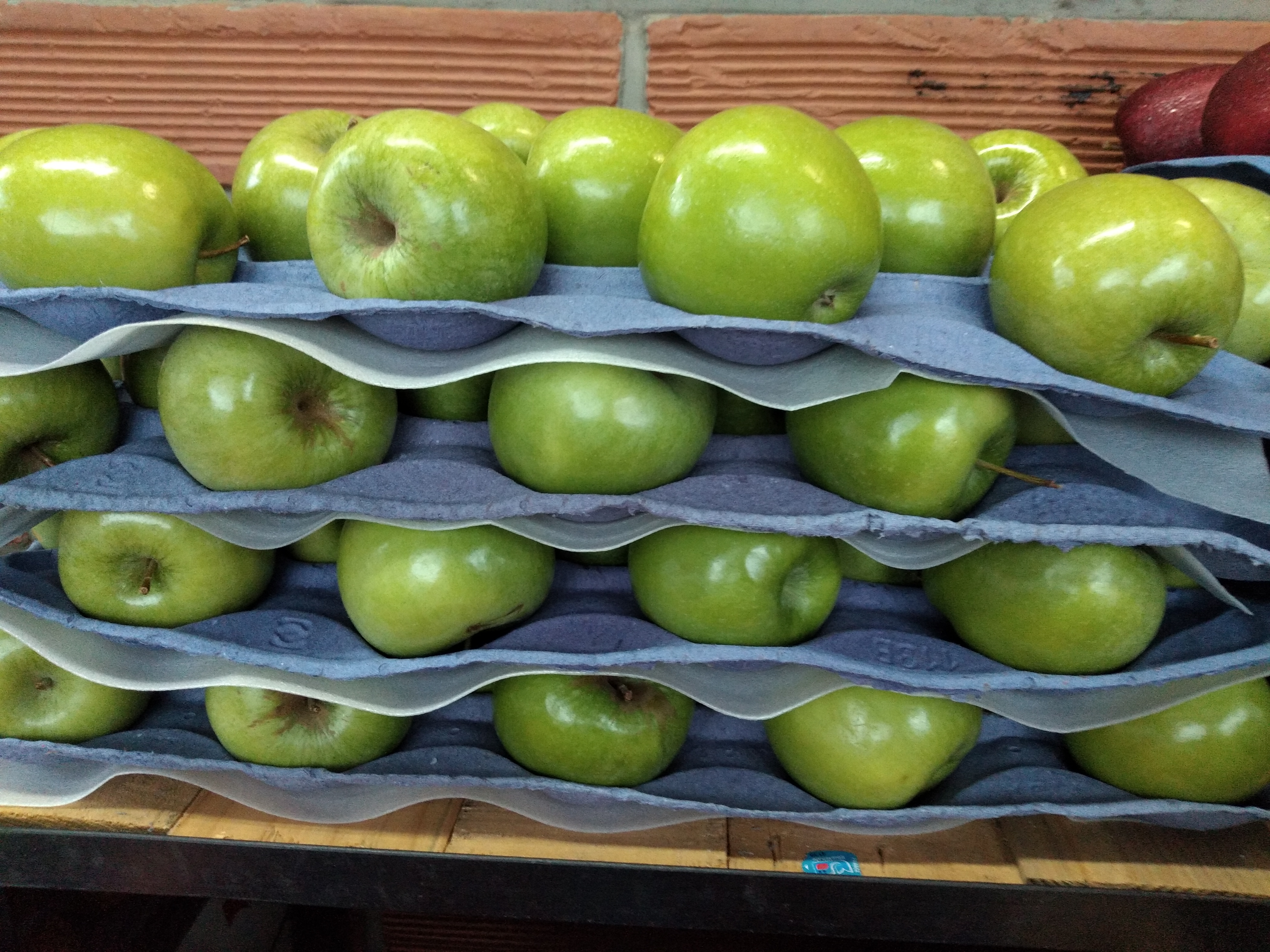 Manzana verde