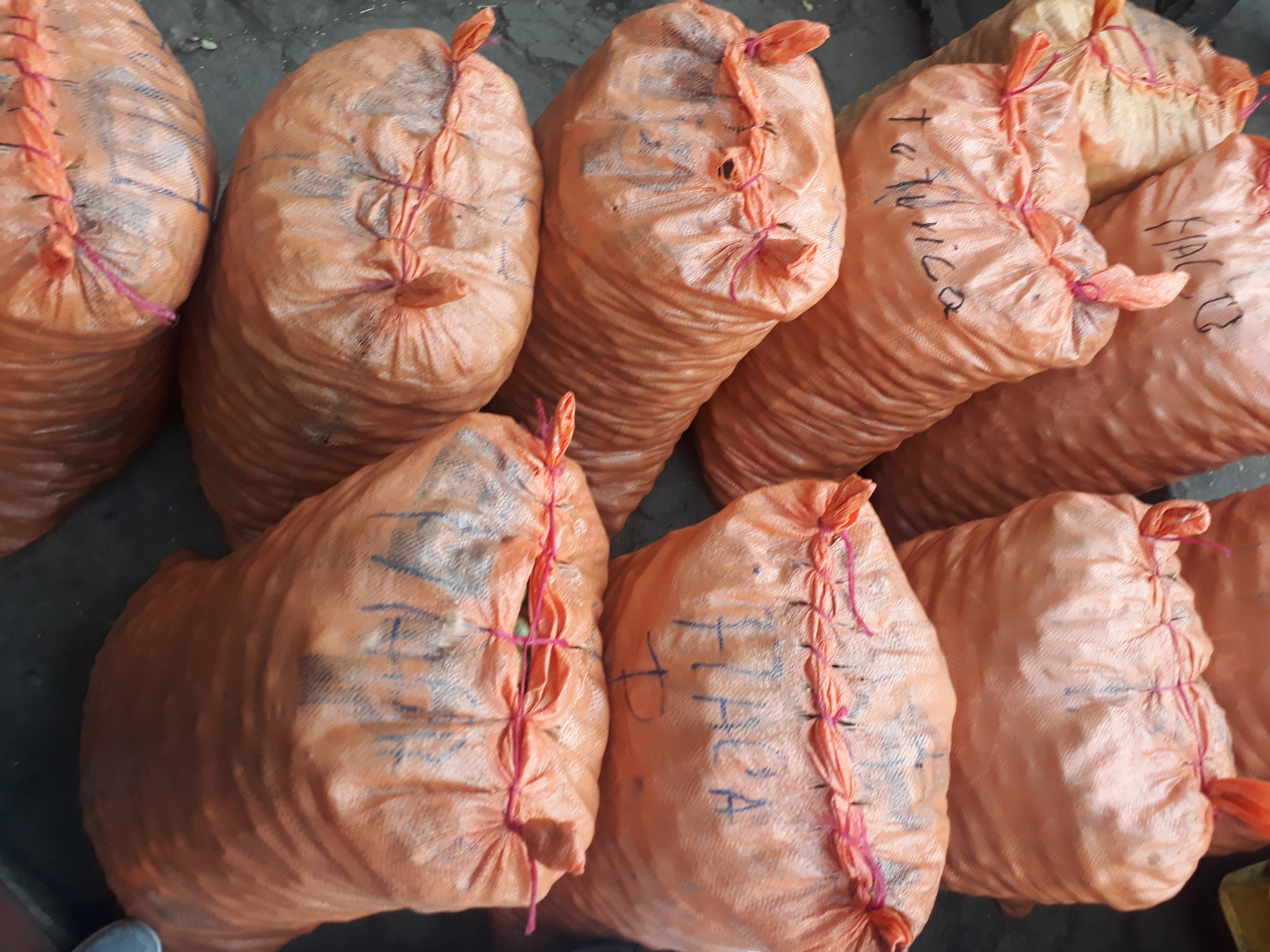 Ciruela x40kg