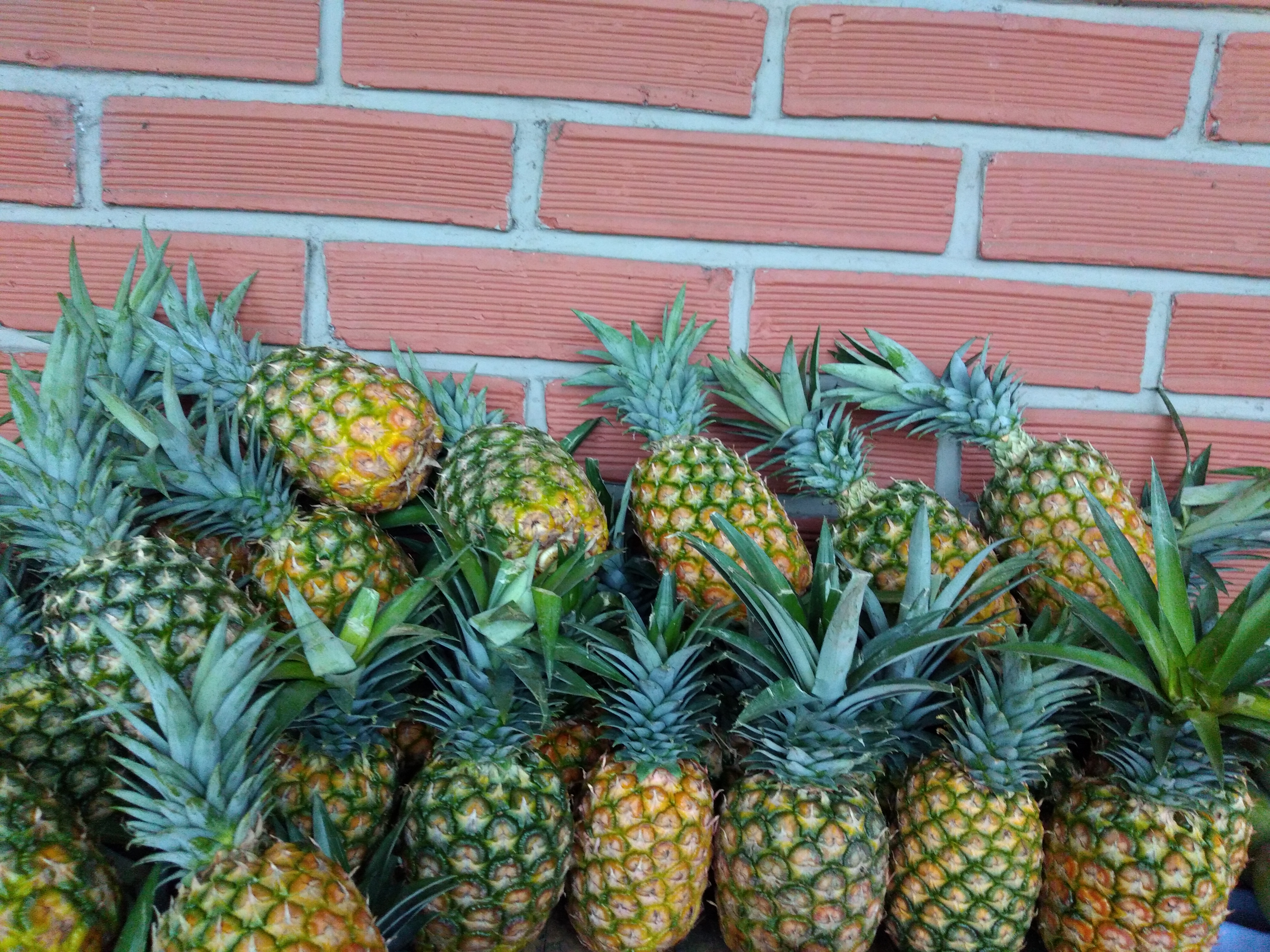 Piña oromiel