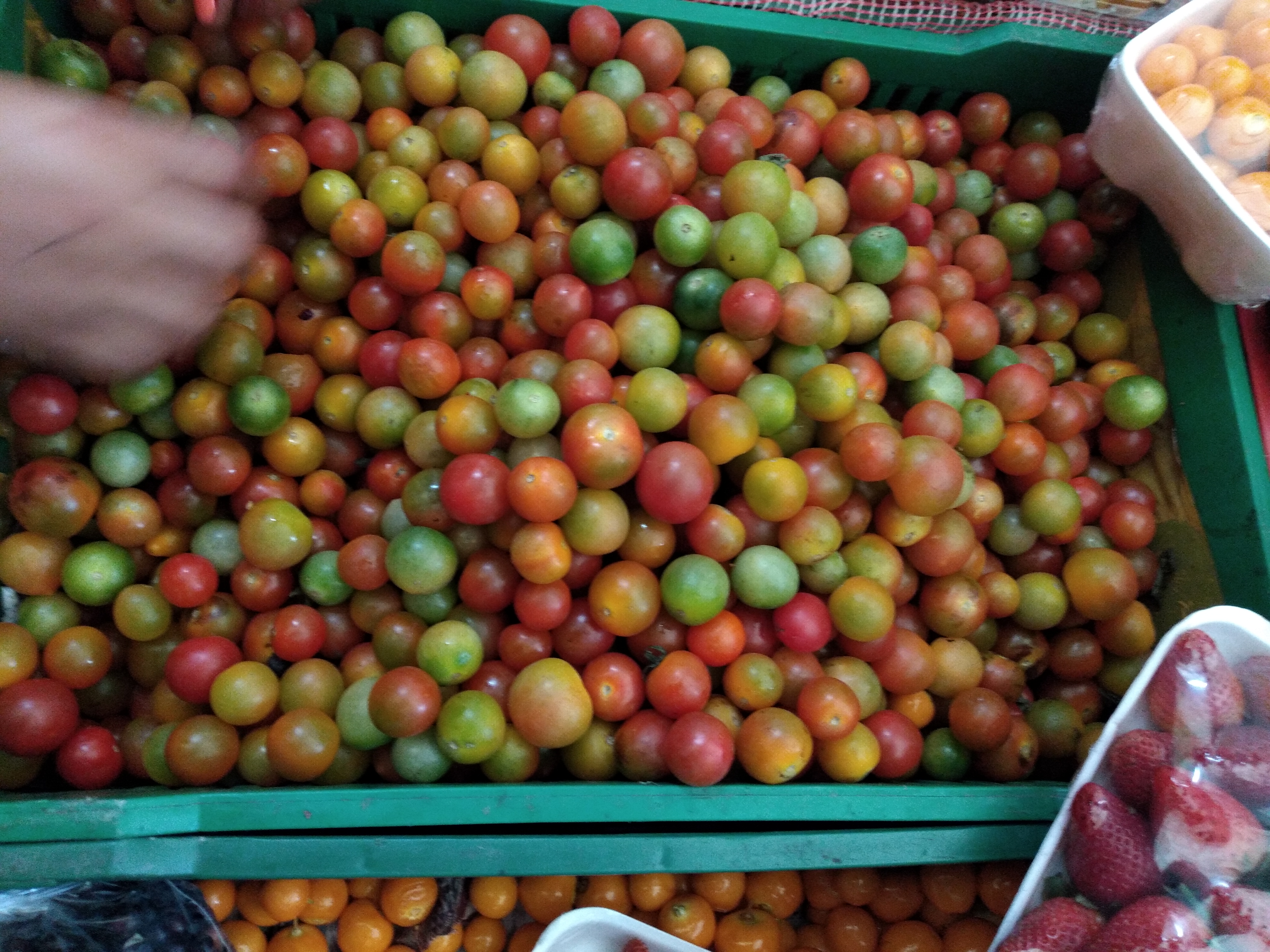 Tomate cherry