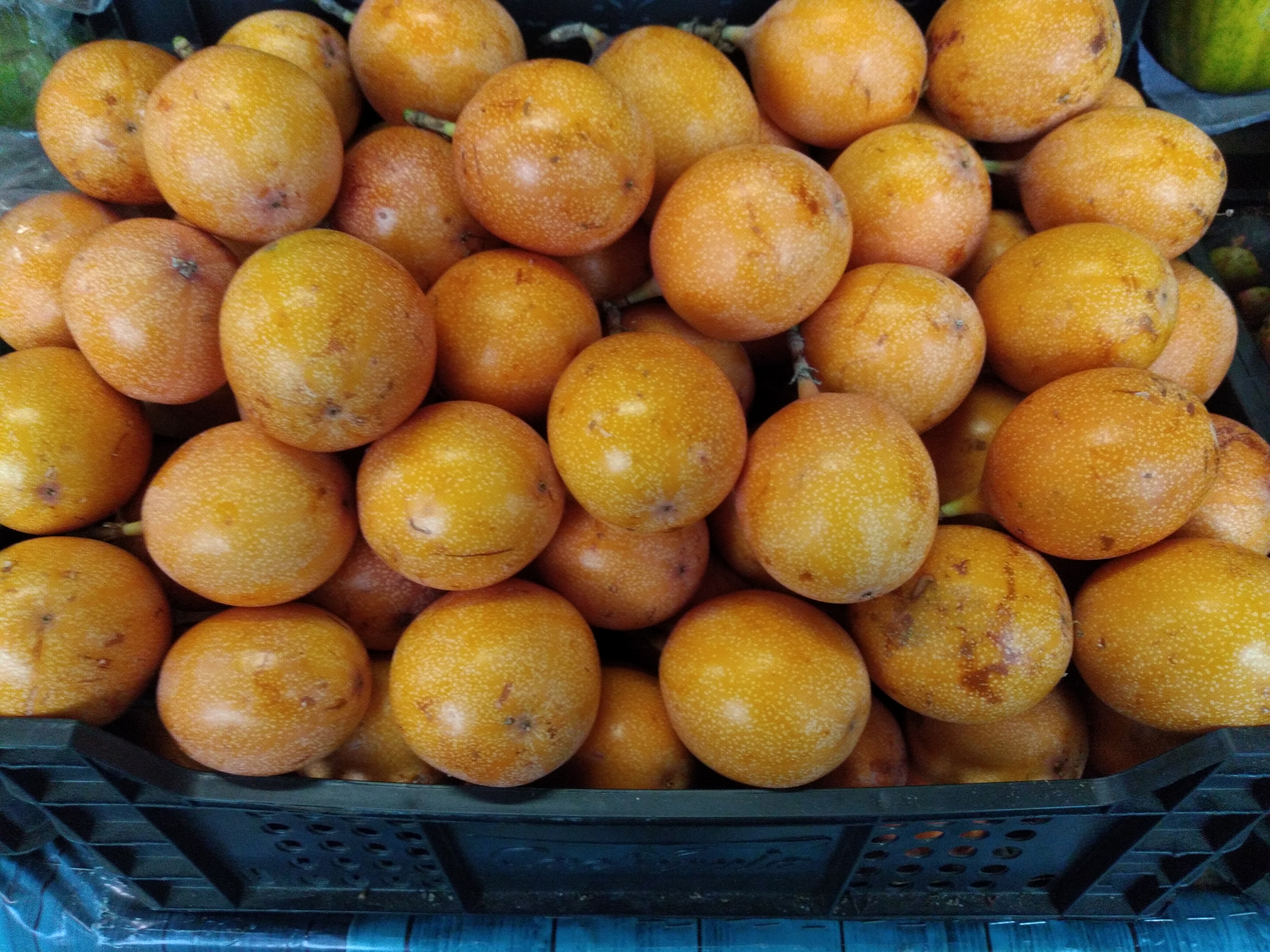 Granadilla