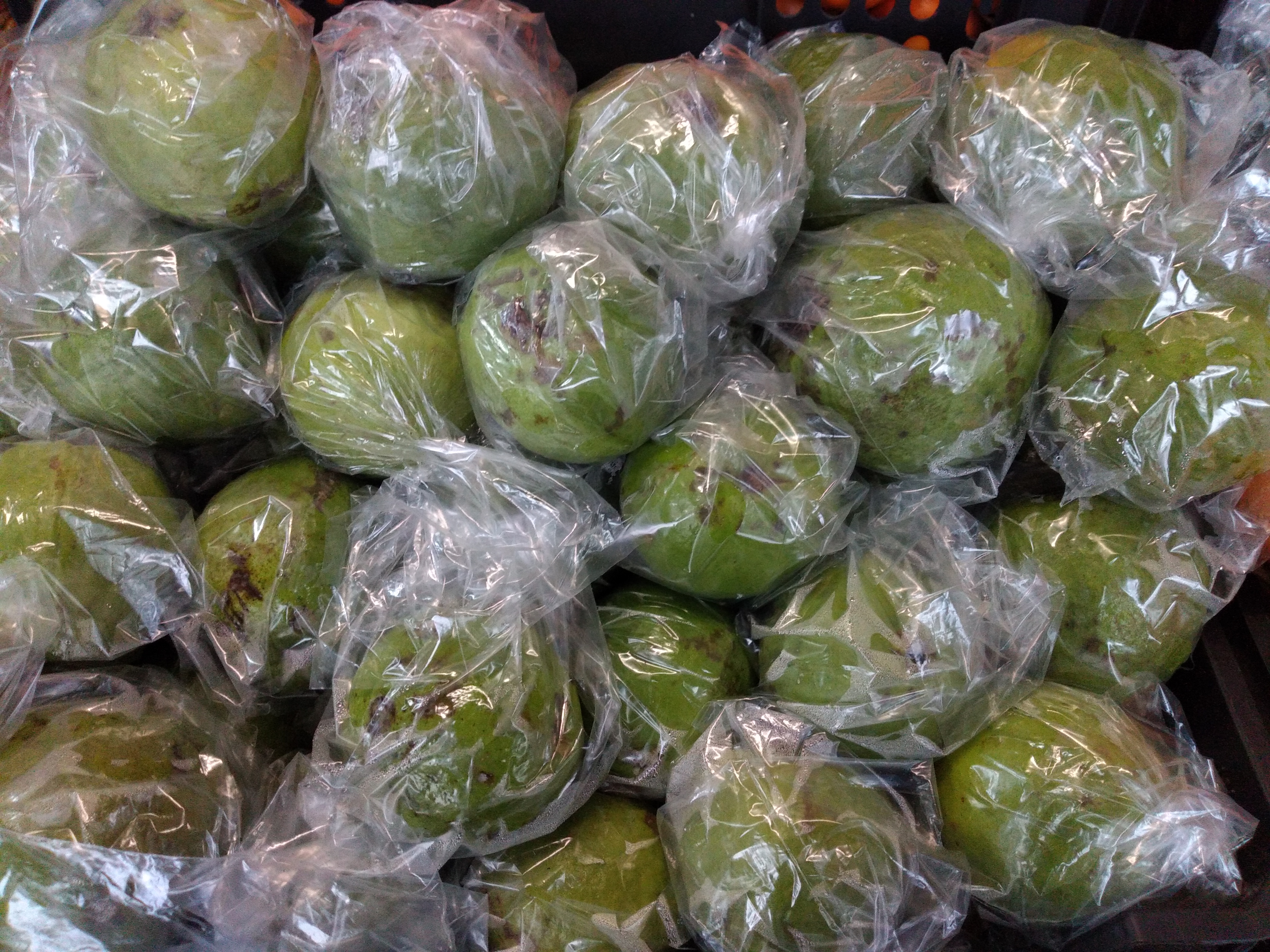 Guayaba manzana