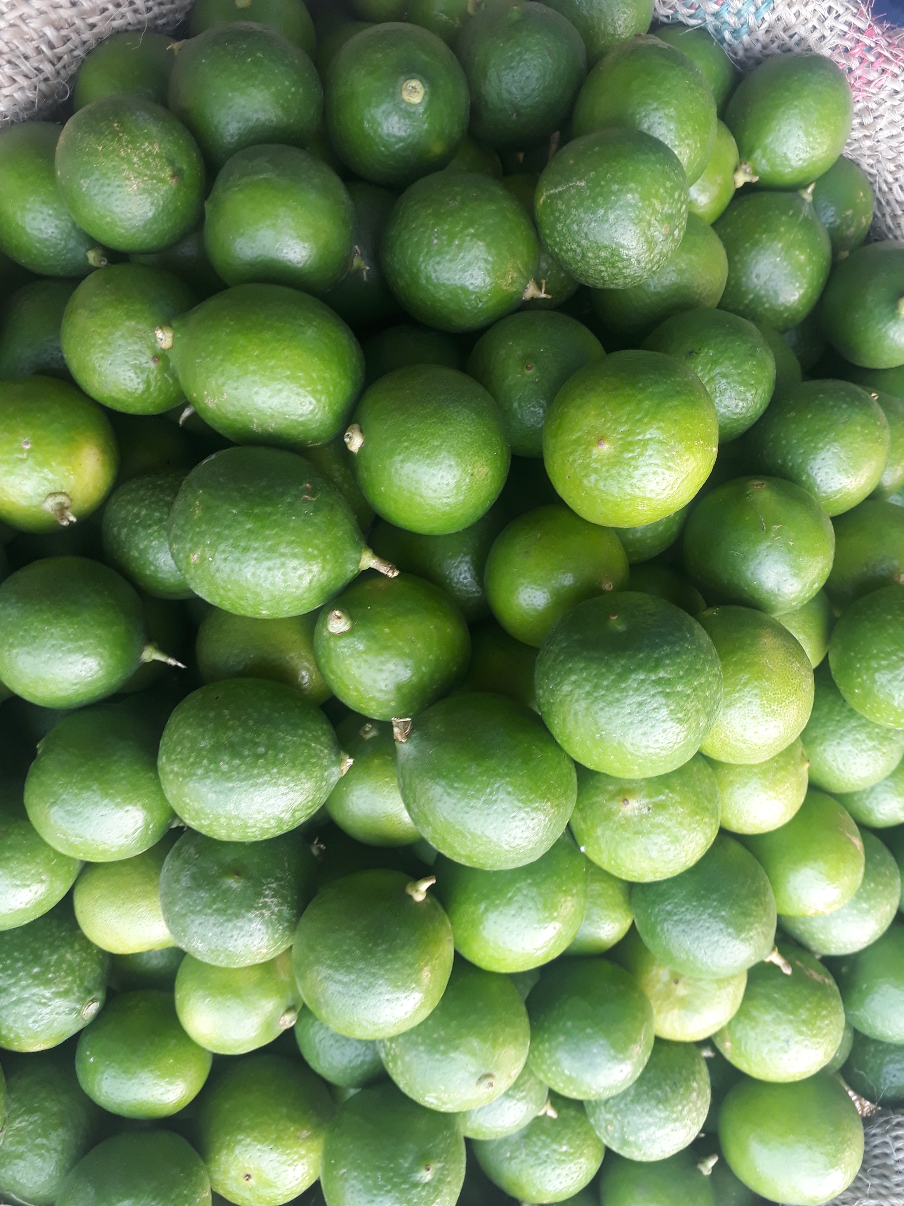 Limones