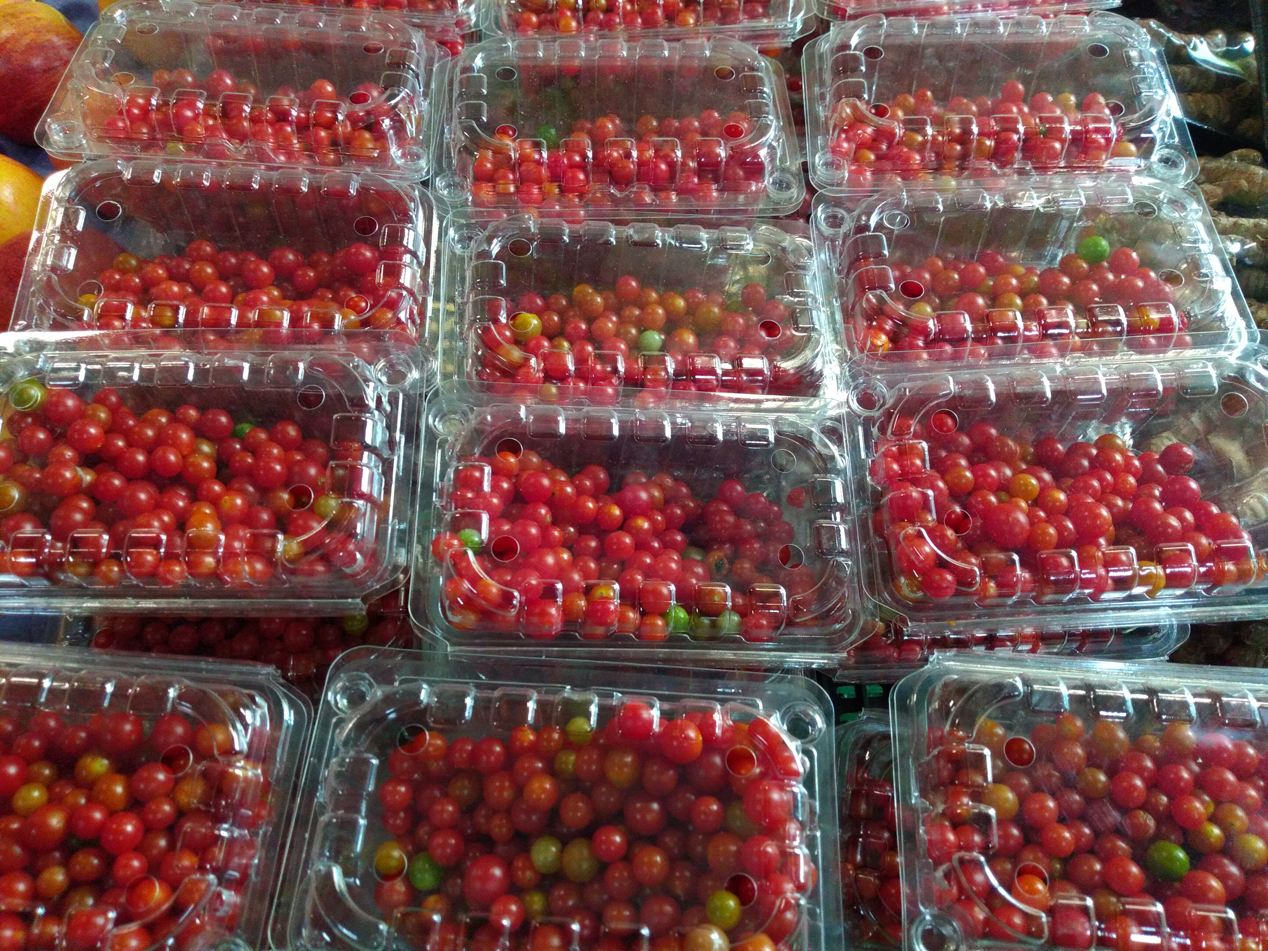 Tomate perla bandeja