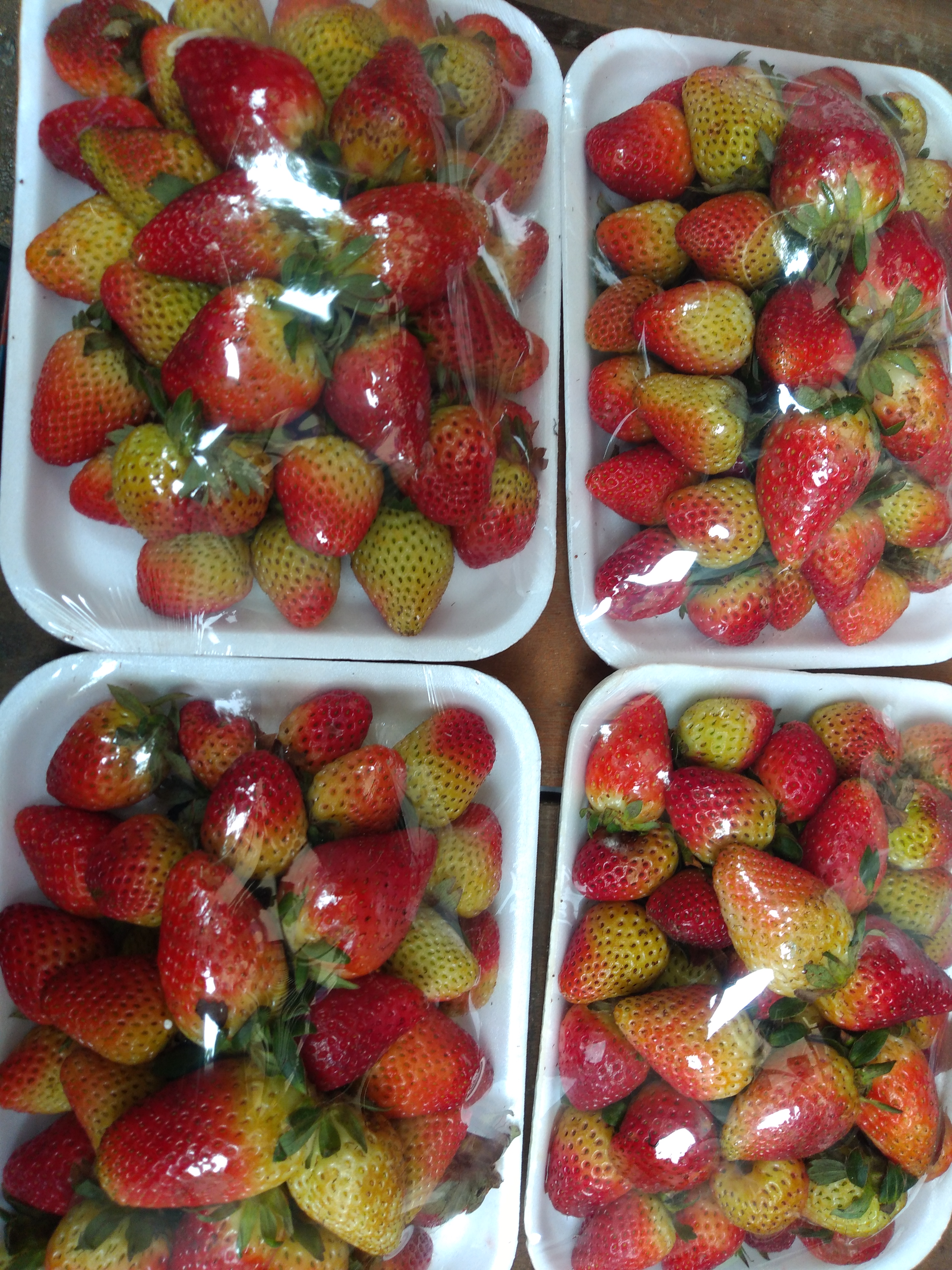 Fresas en bandeja