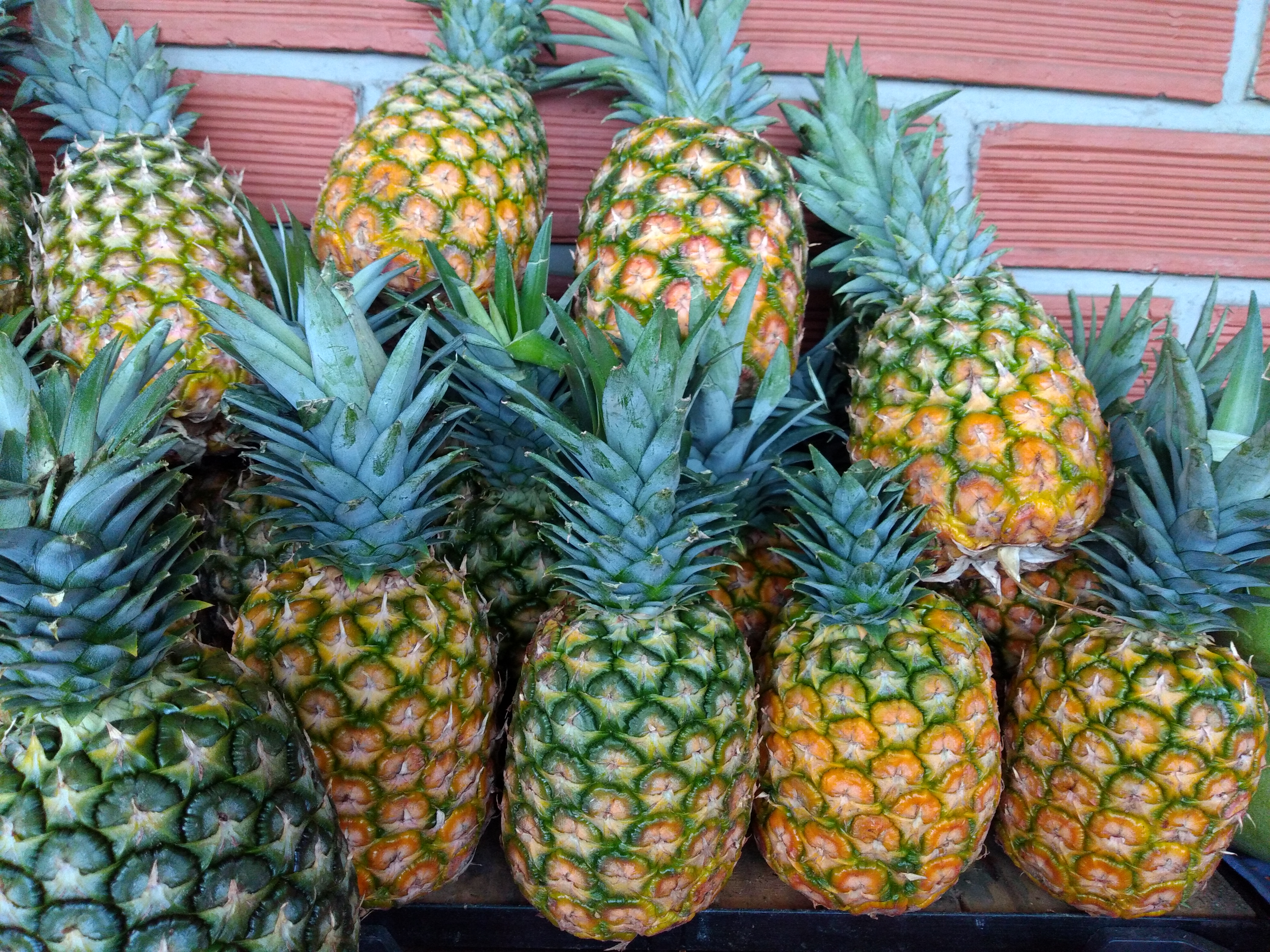 Piña oromiel