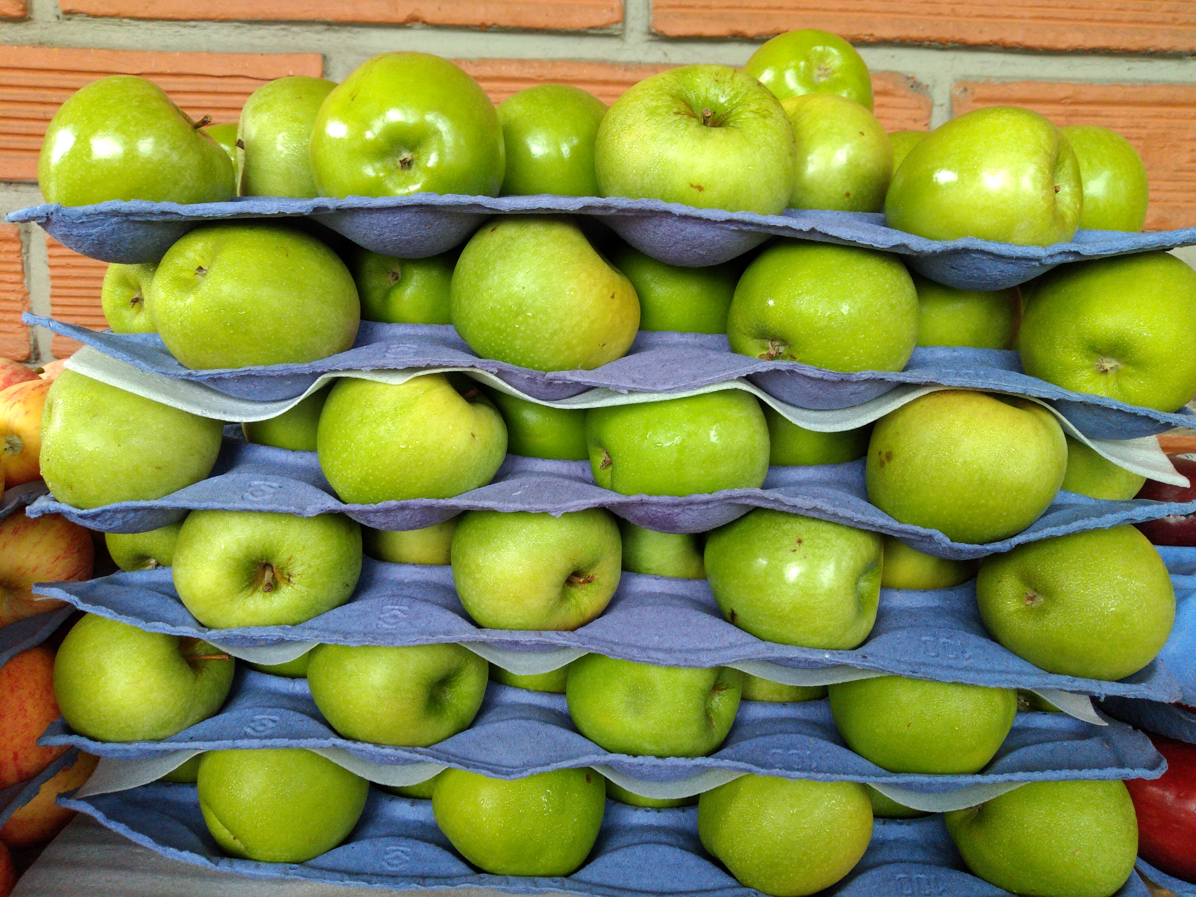 Manzana verde calibre 100