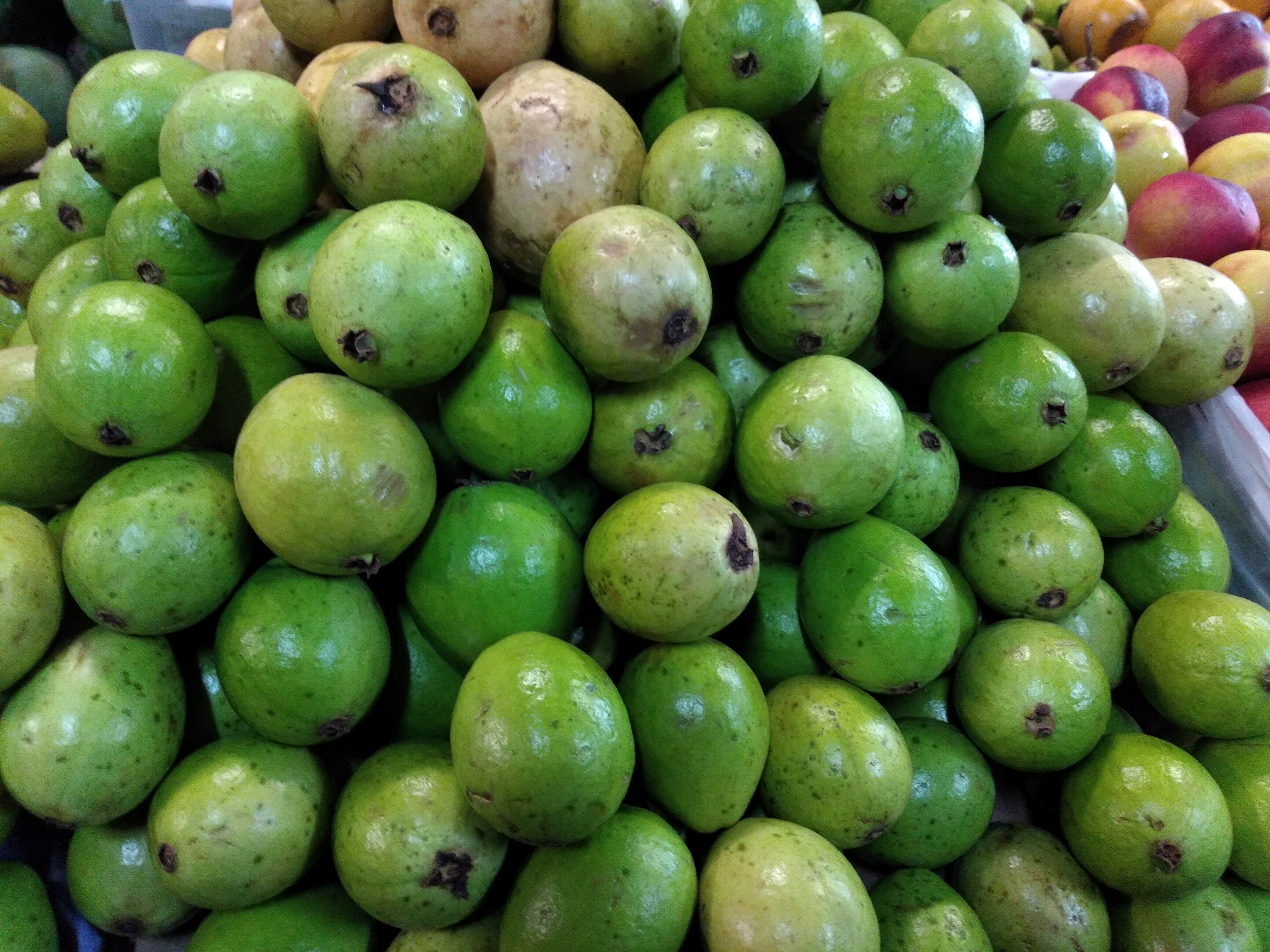 Guayaba pera