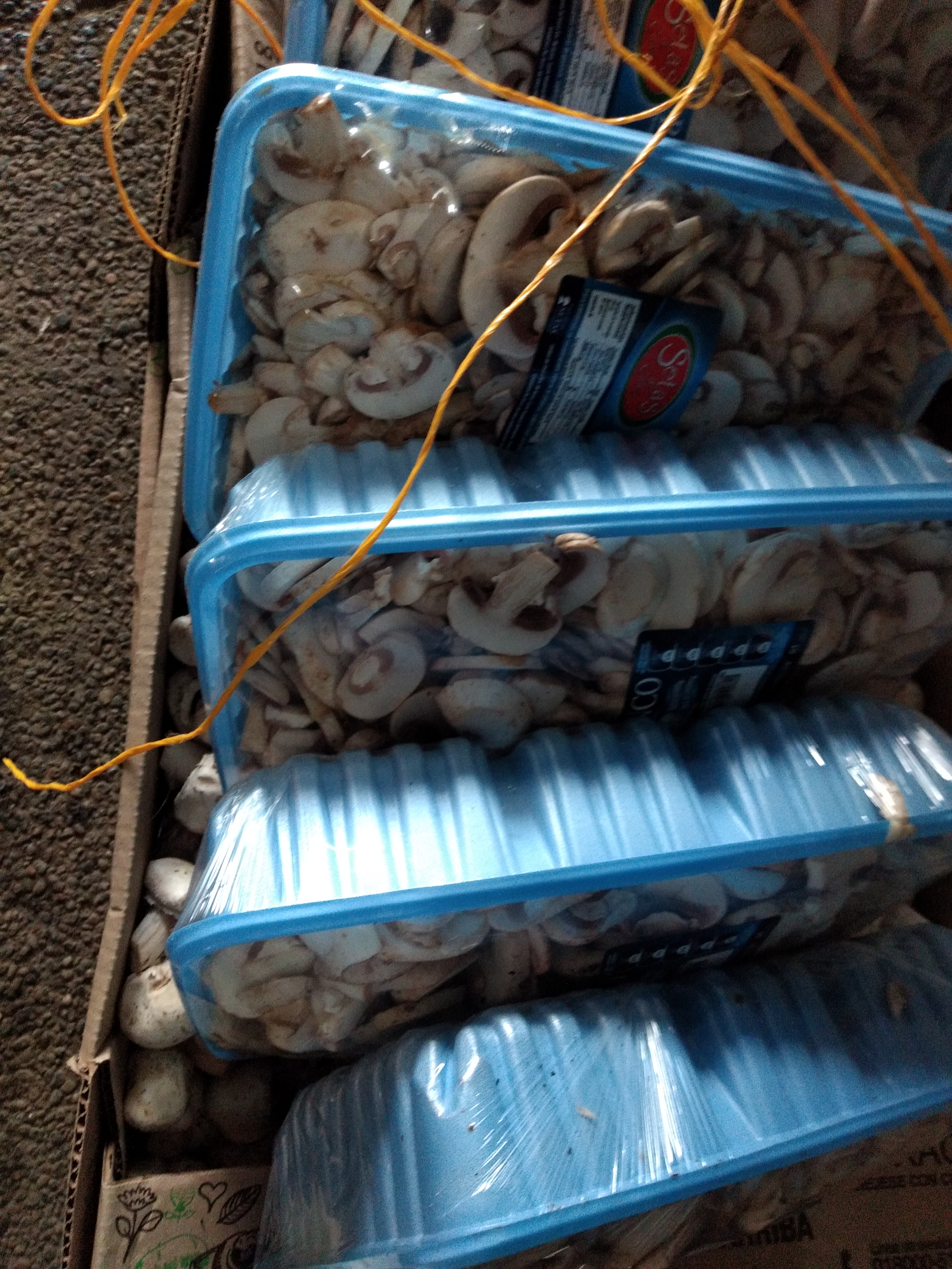 Champiñones picados en bandeja x kilo