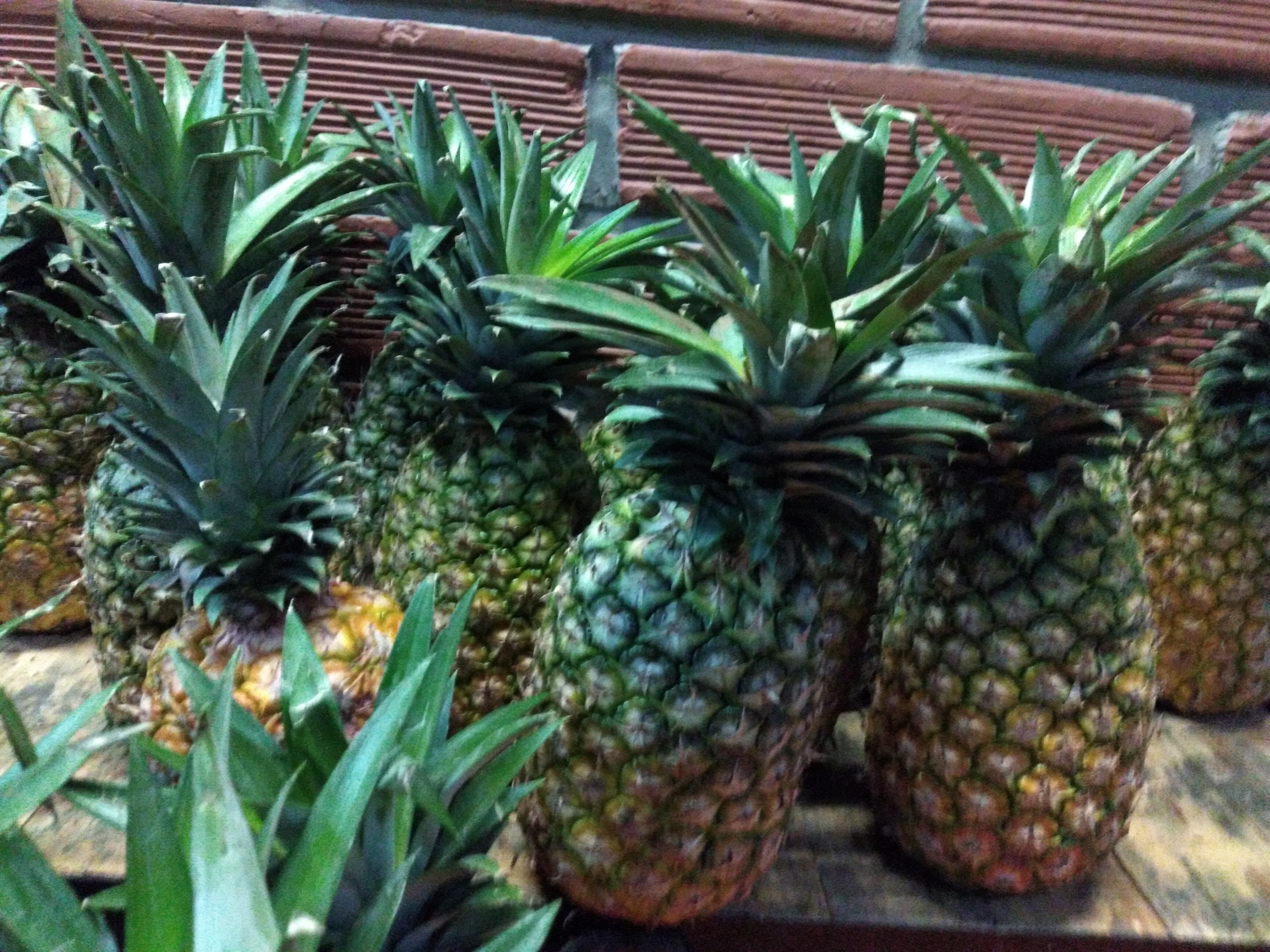 Piña oromiel