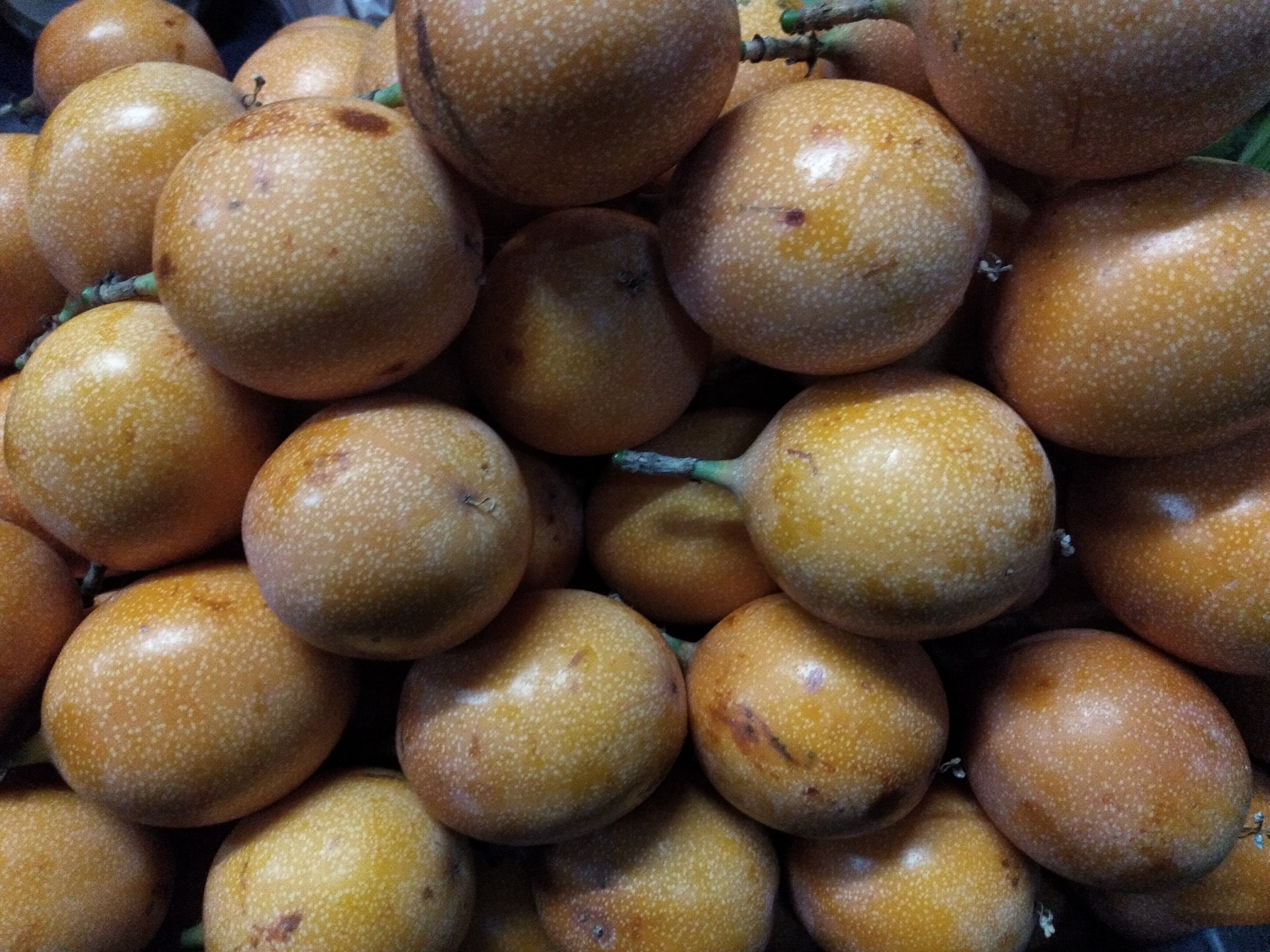 Granadilla