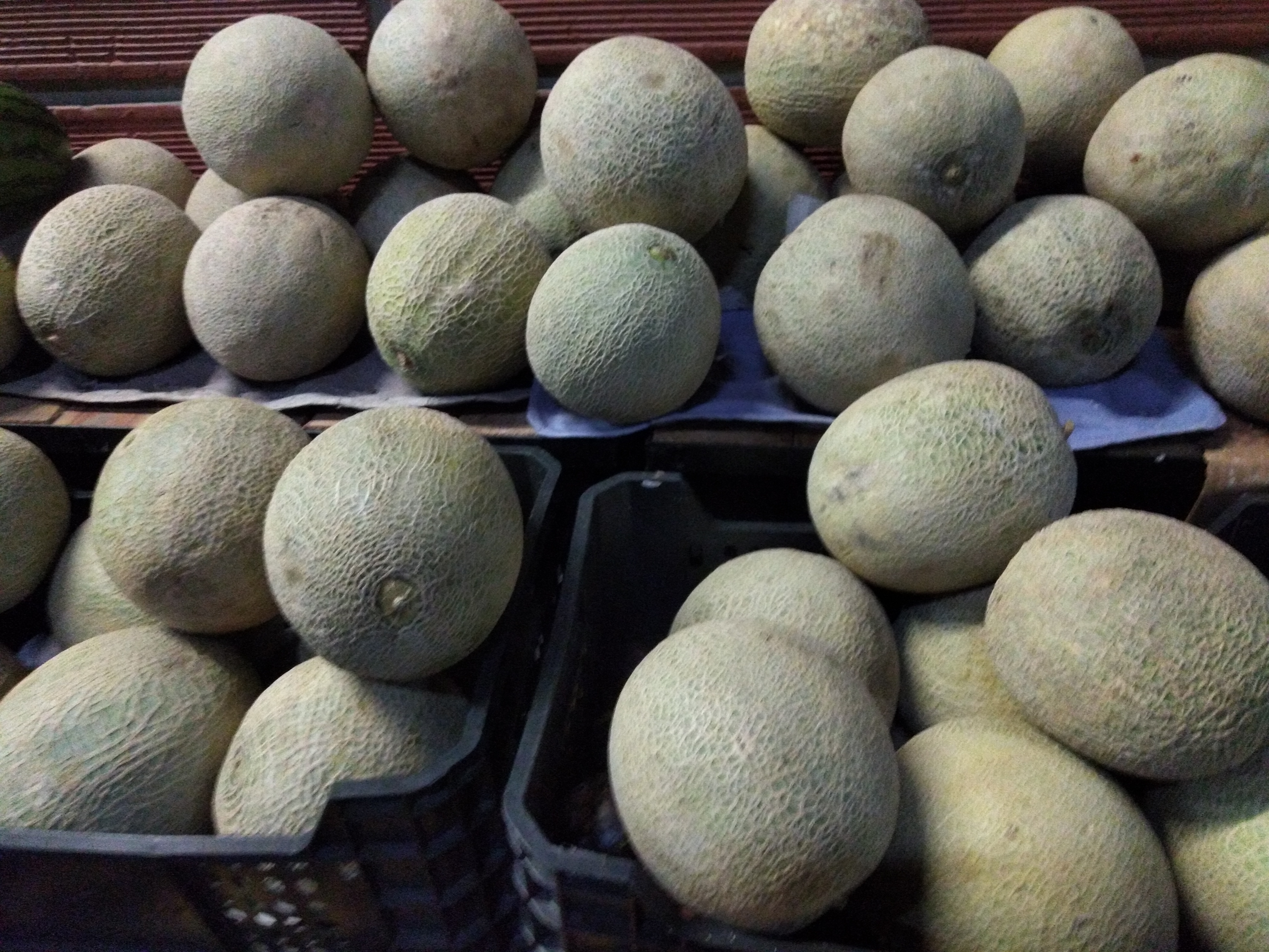 Melón