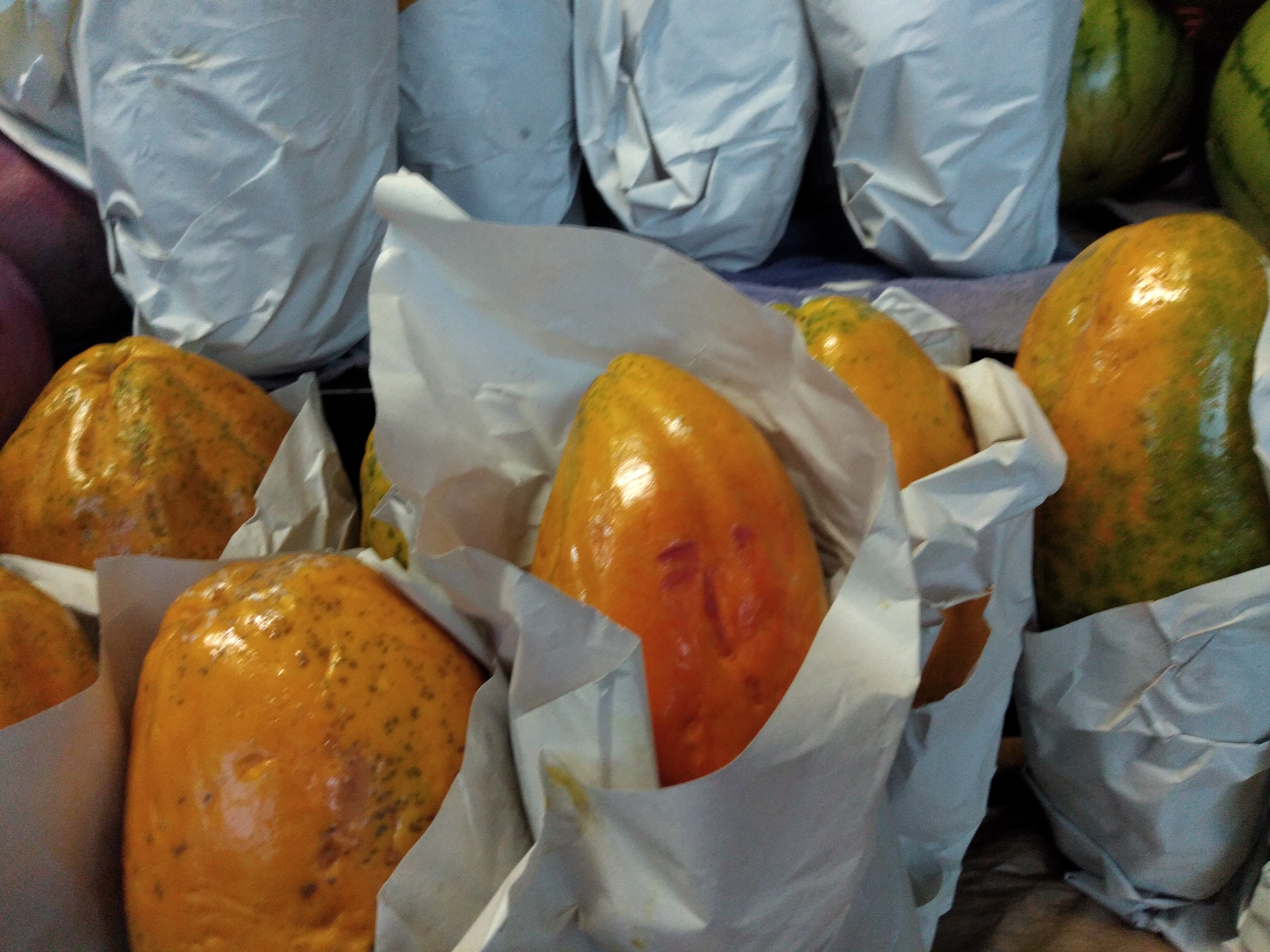 Papaya maradol