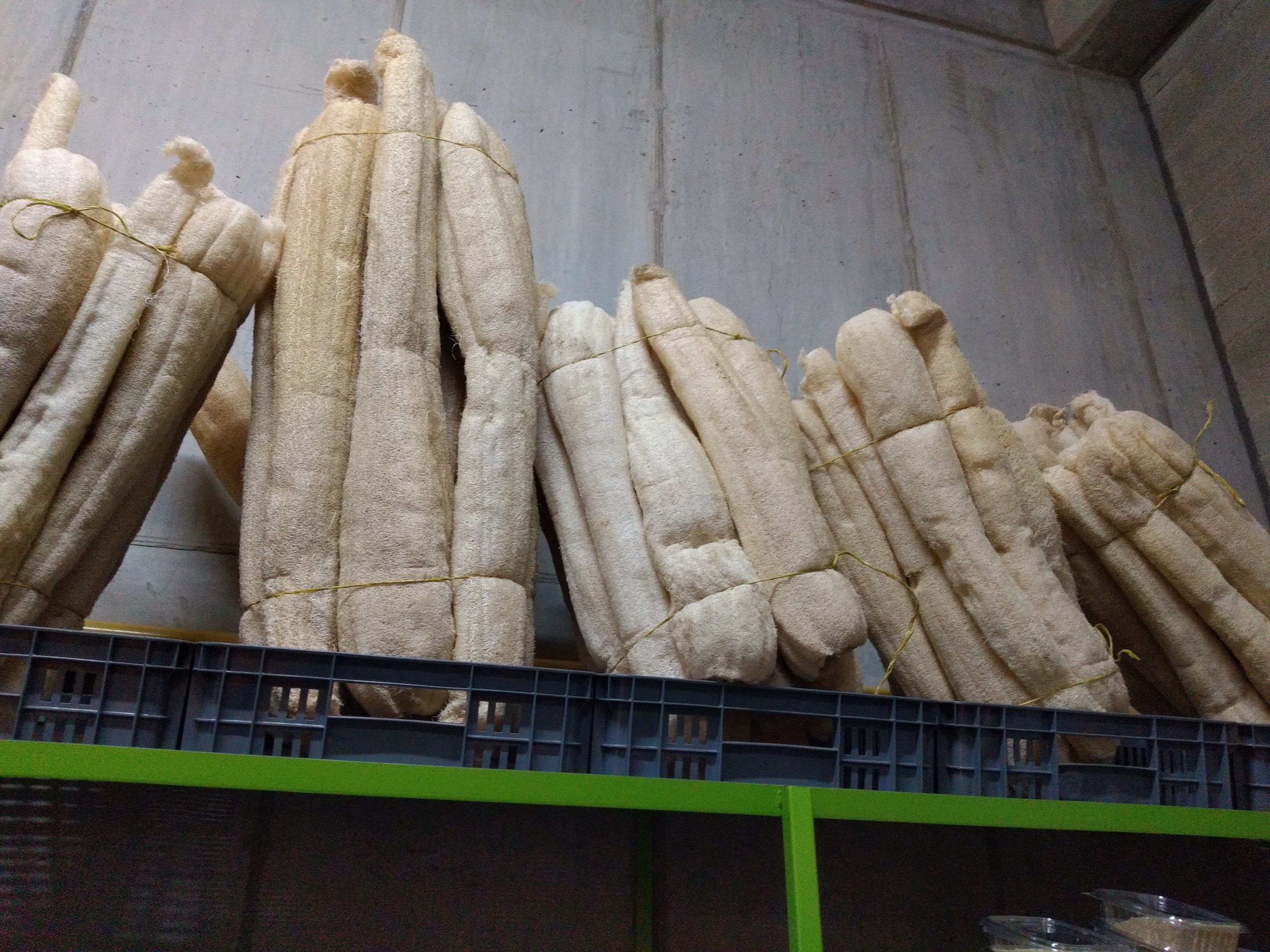 Estropajo paca x 12 unidades
