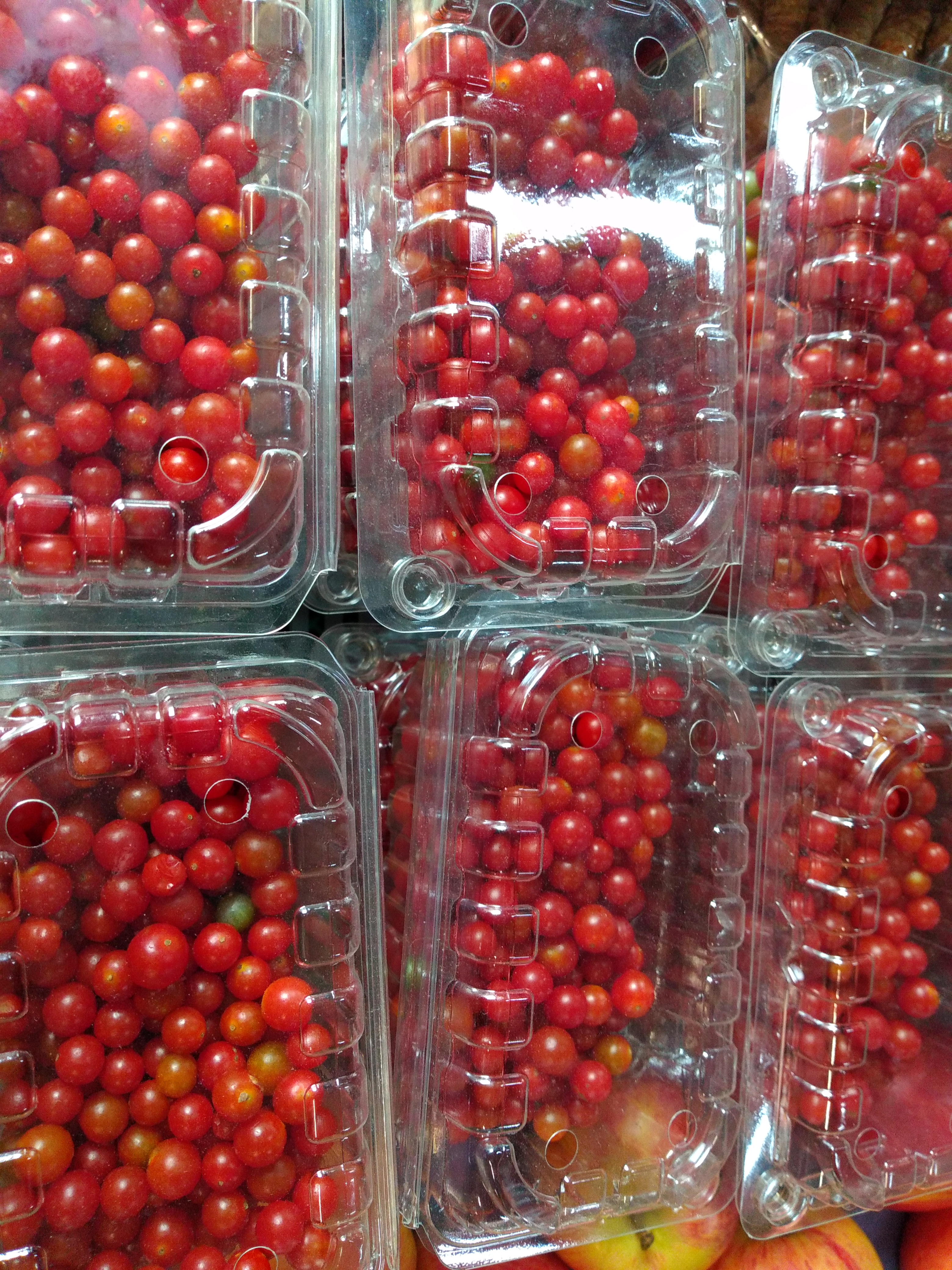 Tomate perla