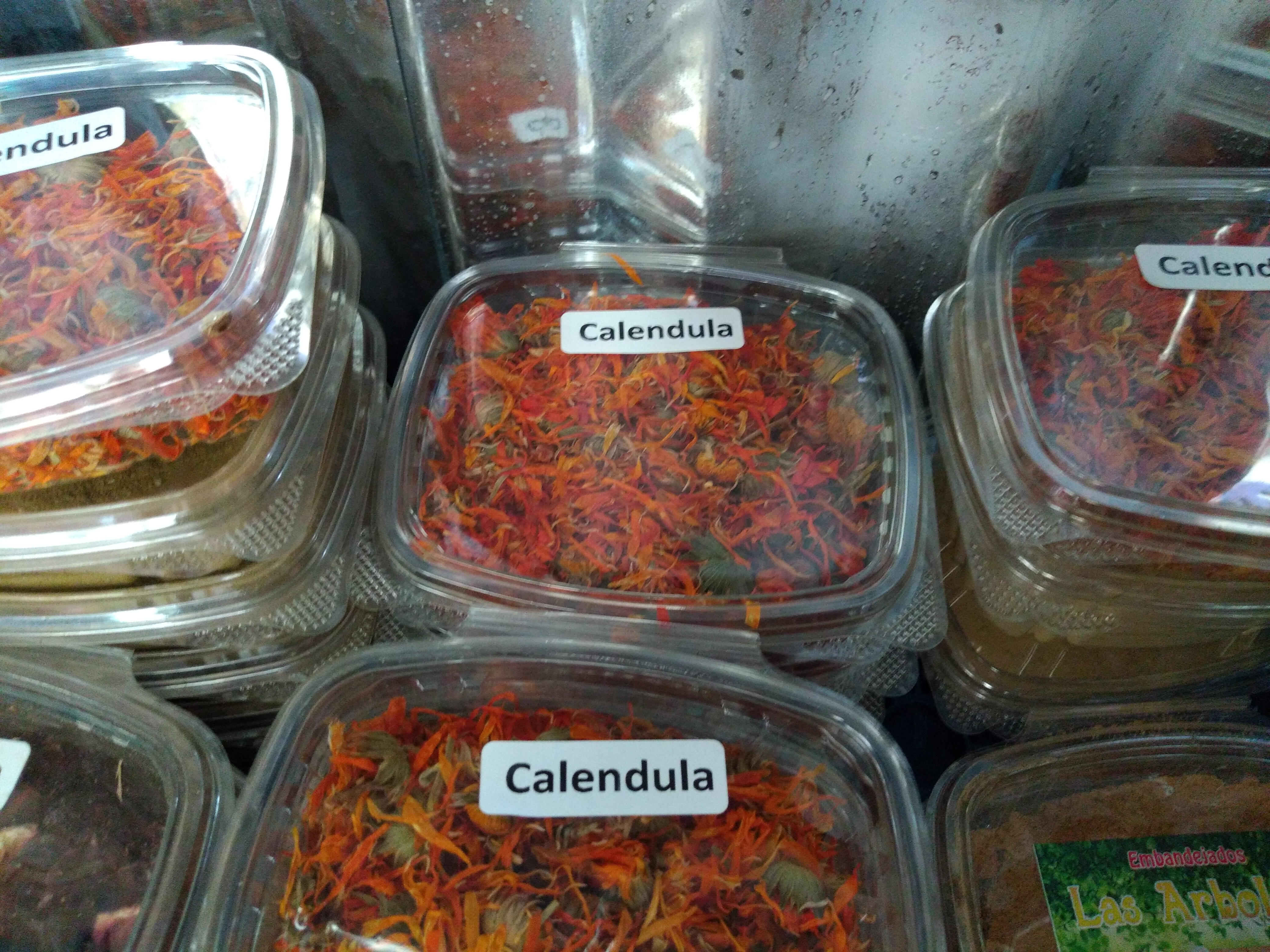 Caléndula