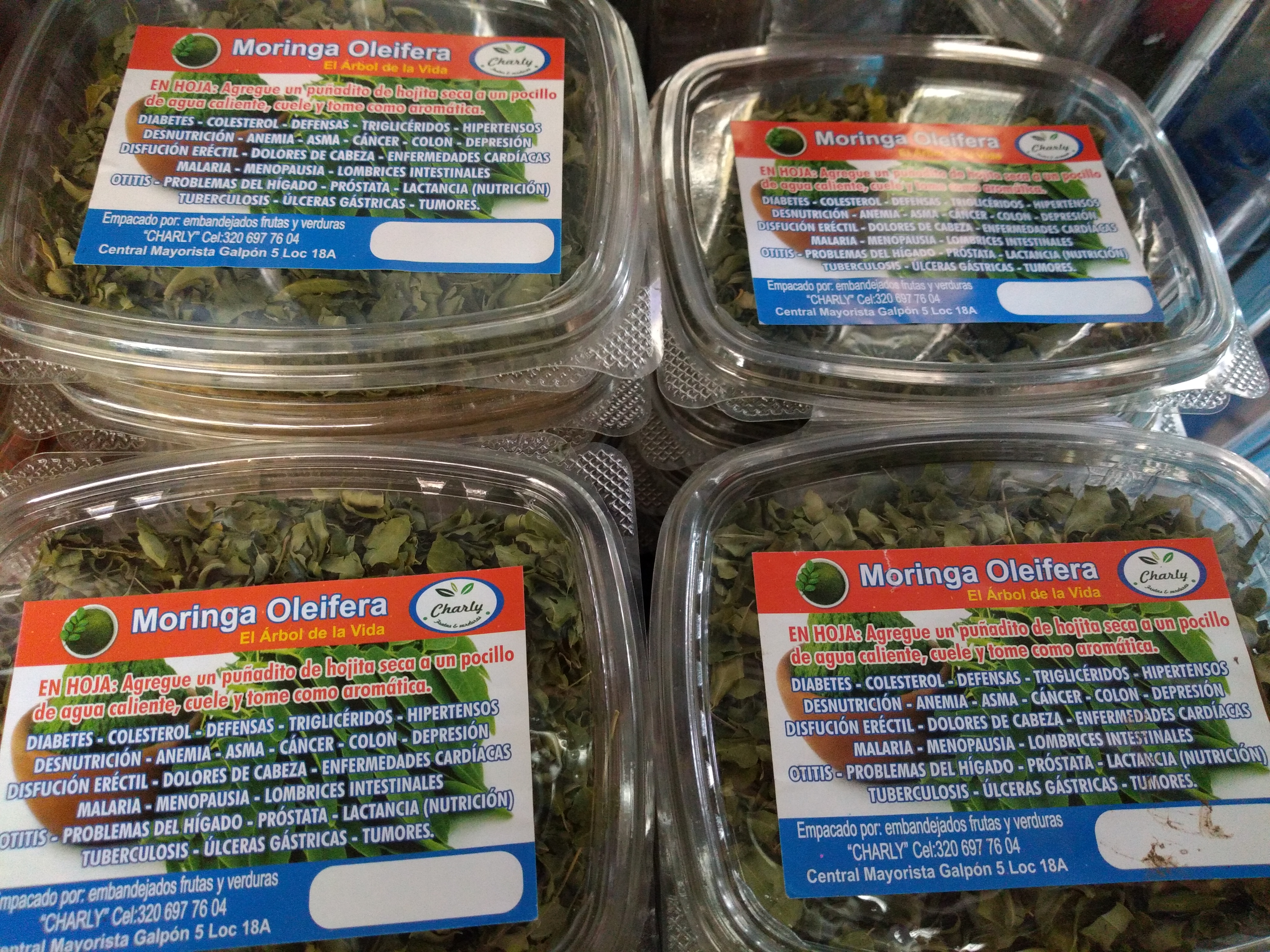 Moringa bandeja