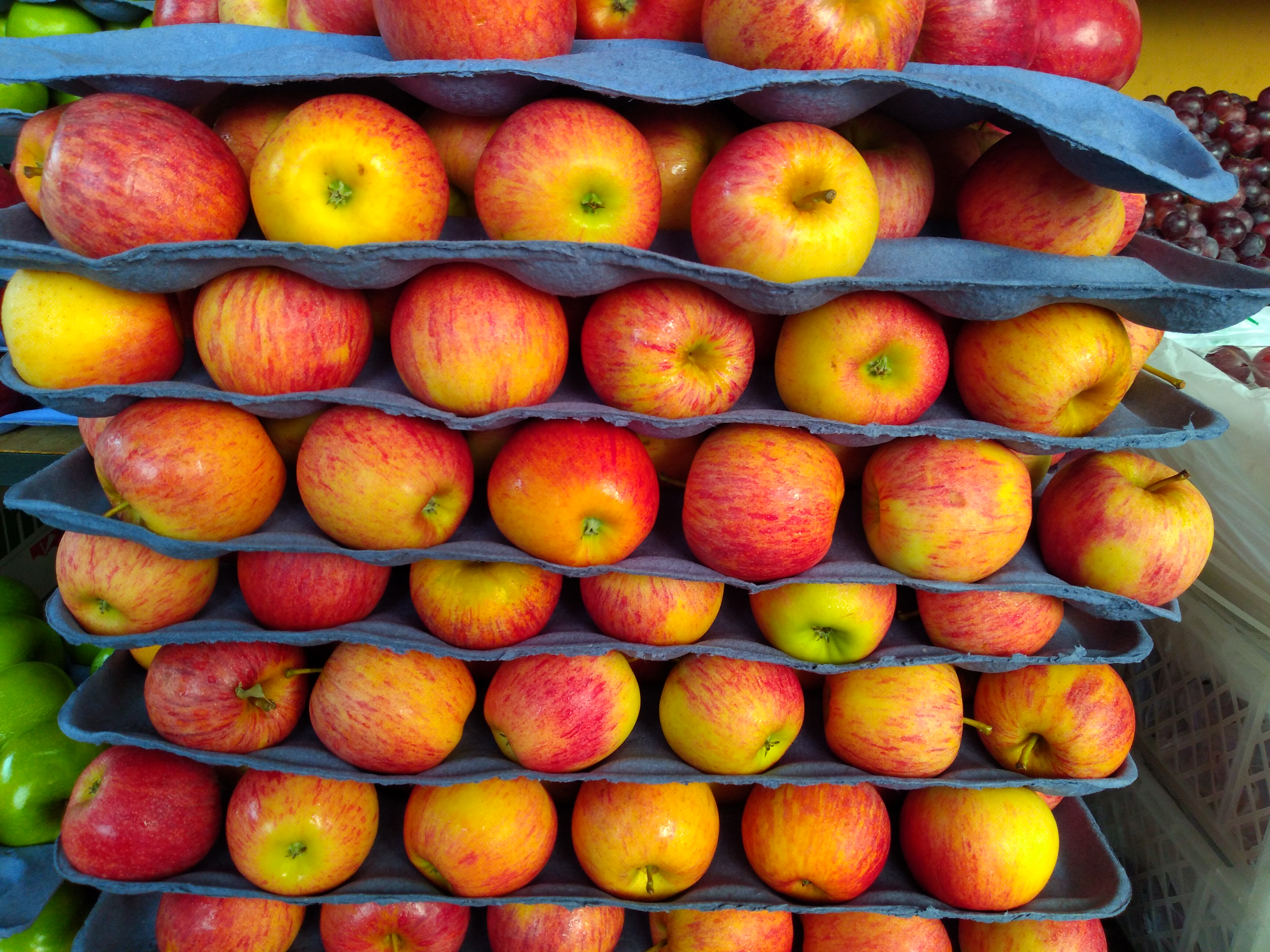 Manzana gala