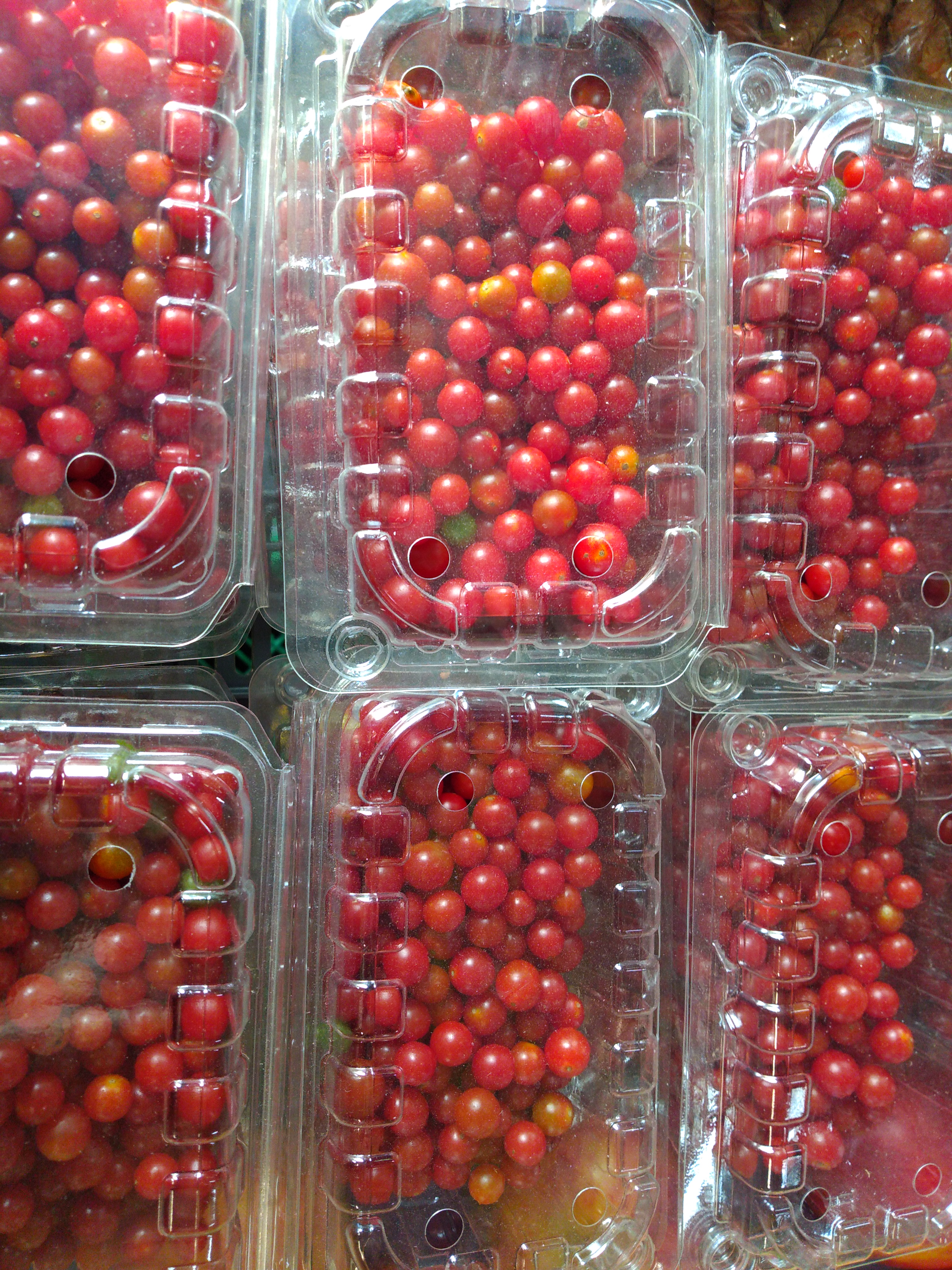 Tomate perla bandeja