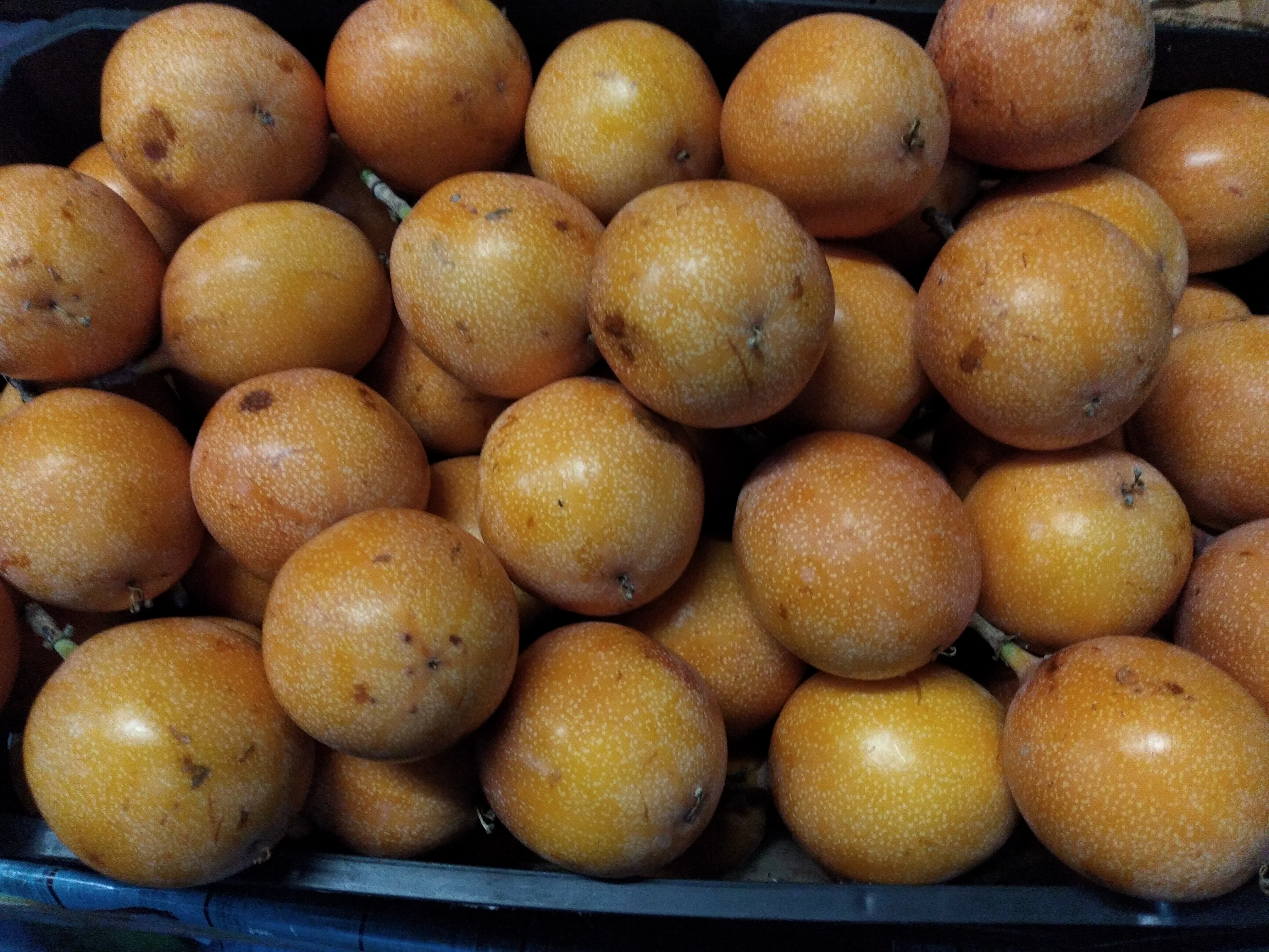 Granadilla