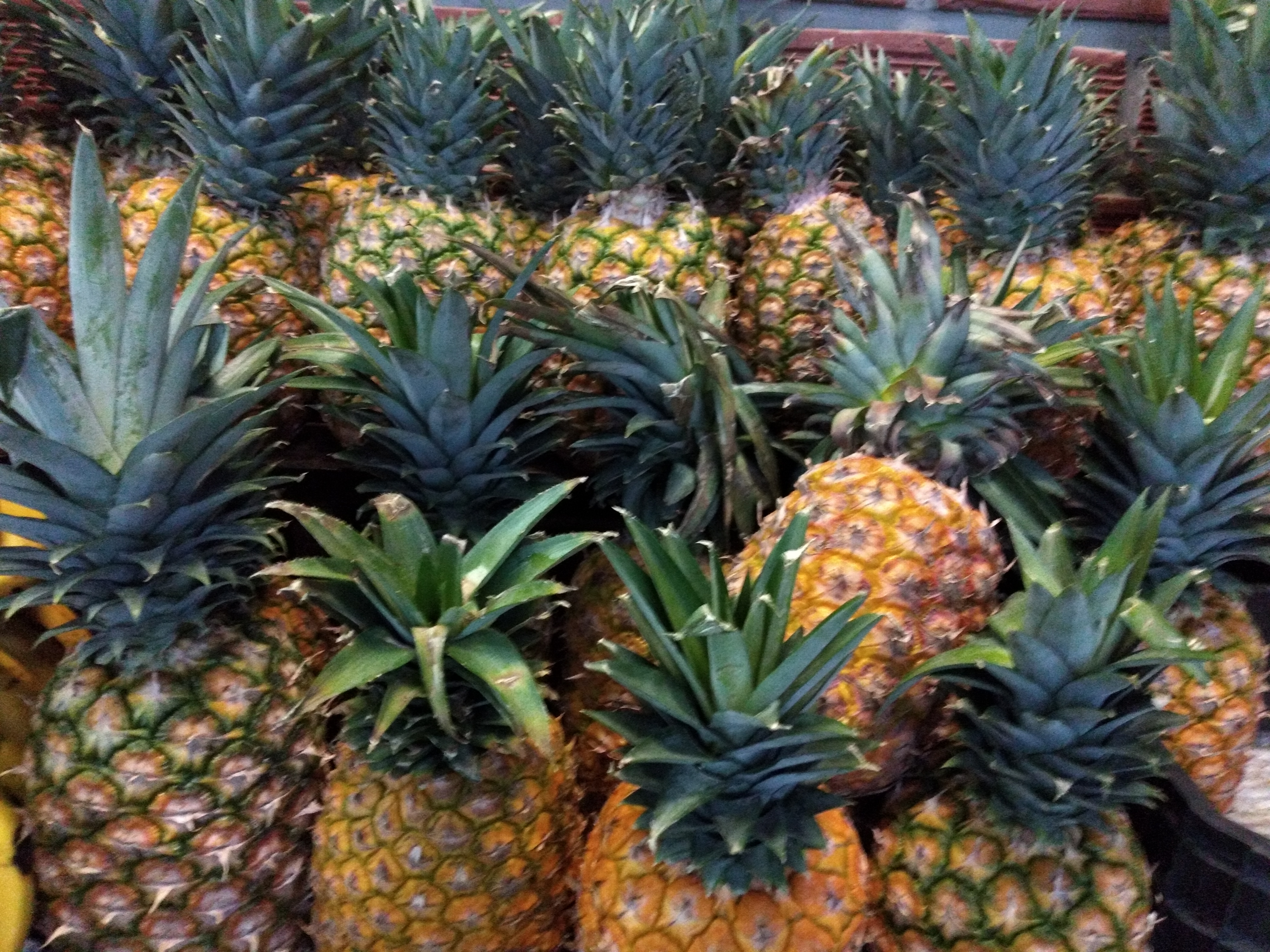 Piña oromiel