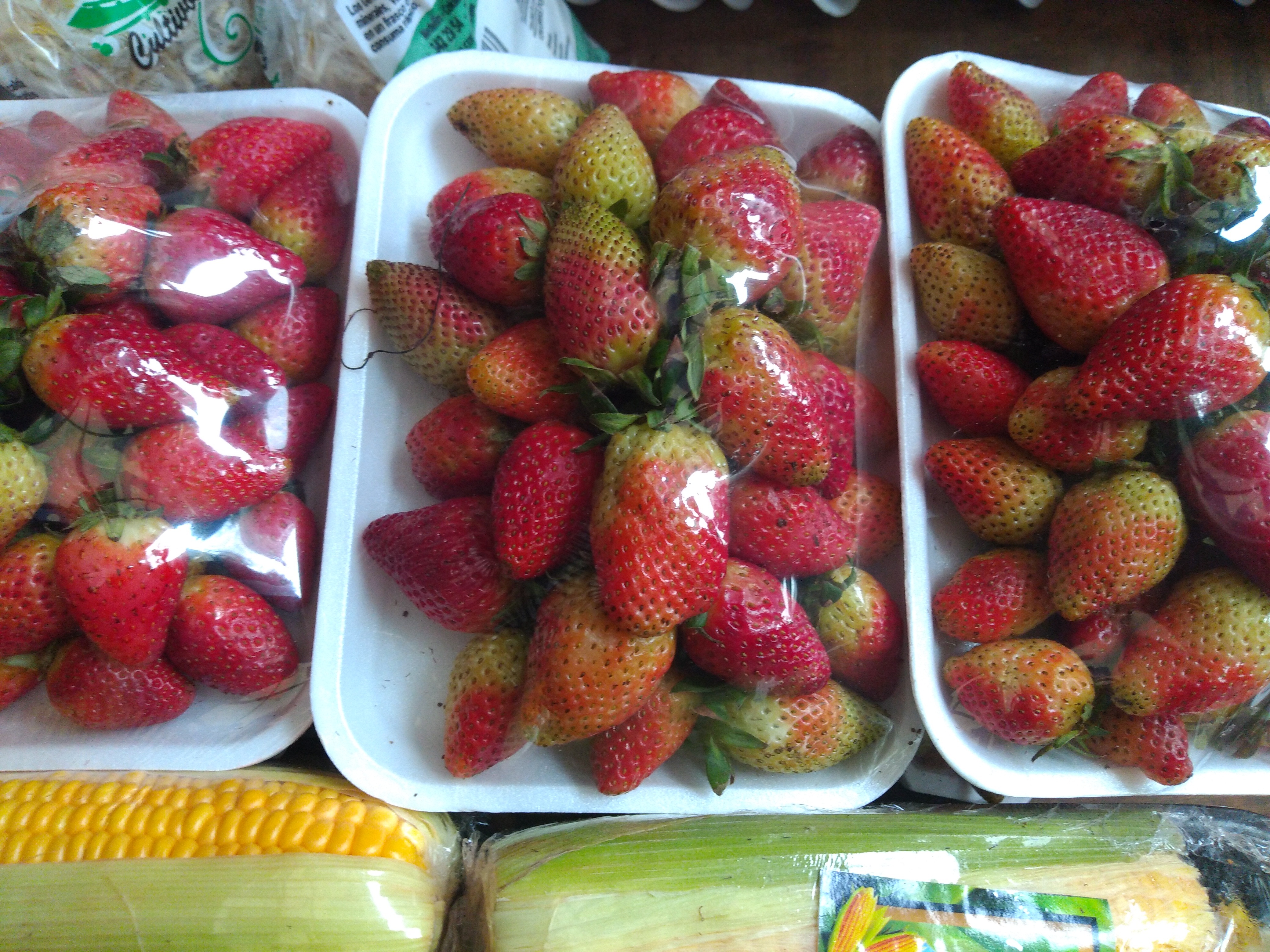 Fresa en bandeja