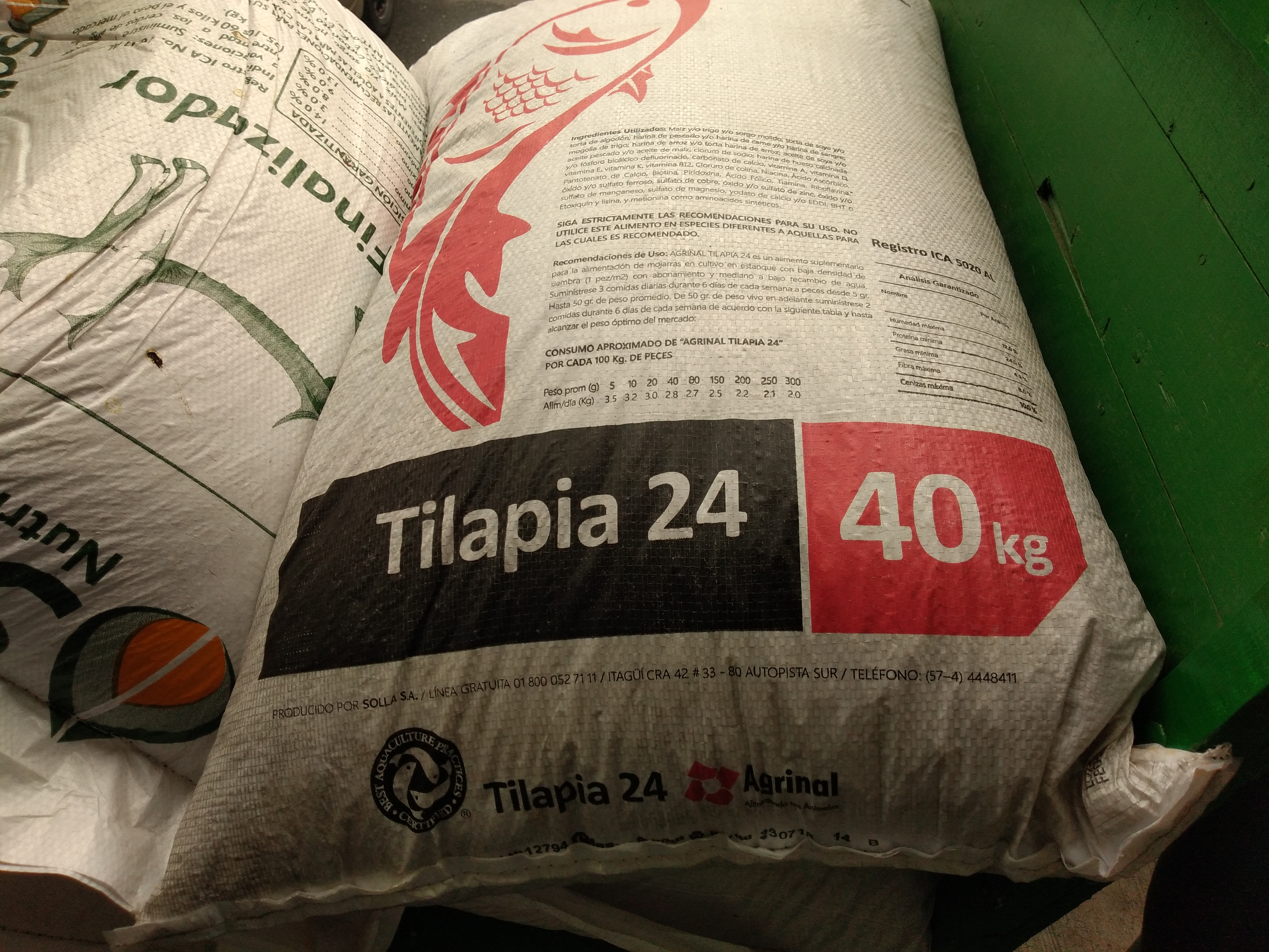 Tilapia 24 x 40 kg