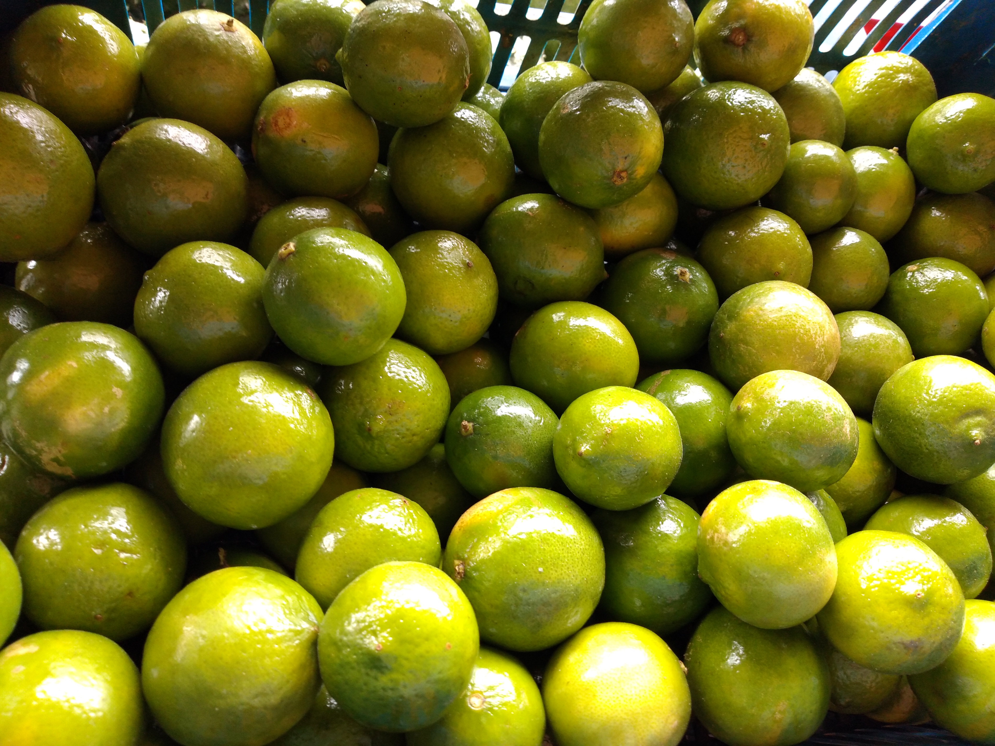 Limón Tahití
