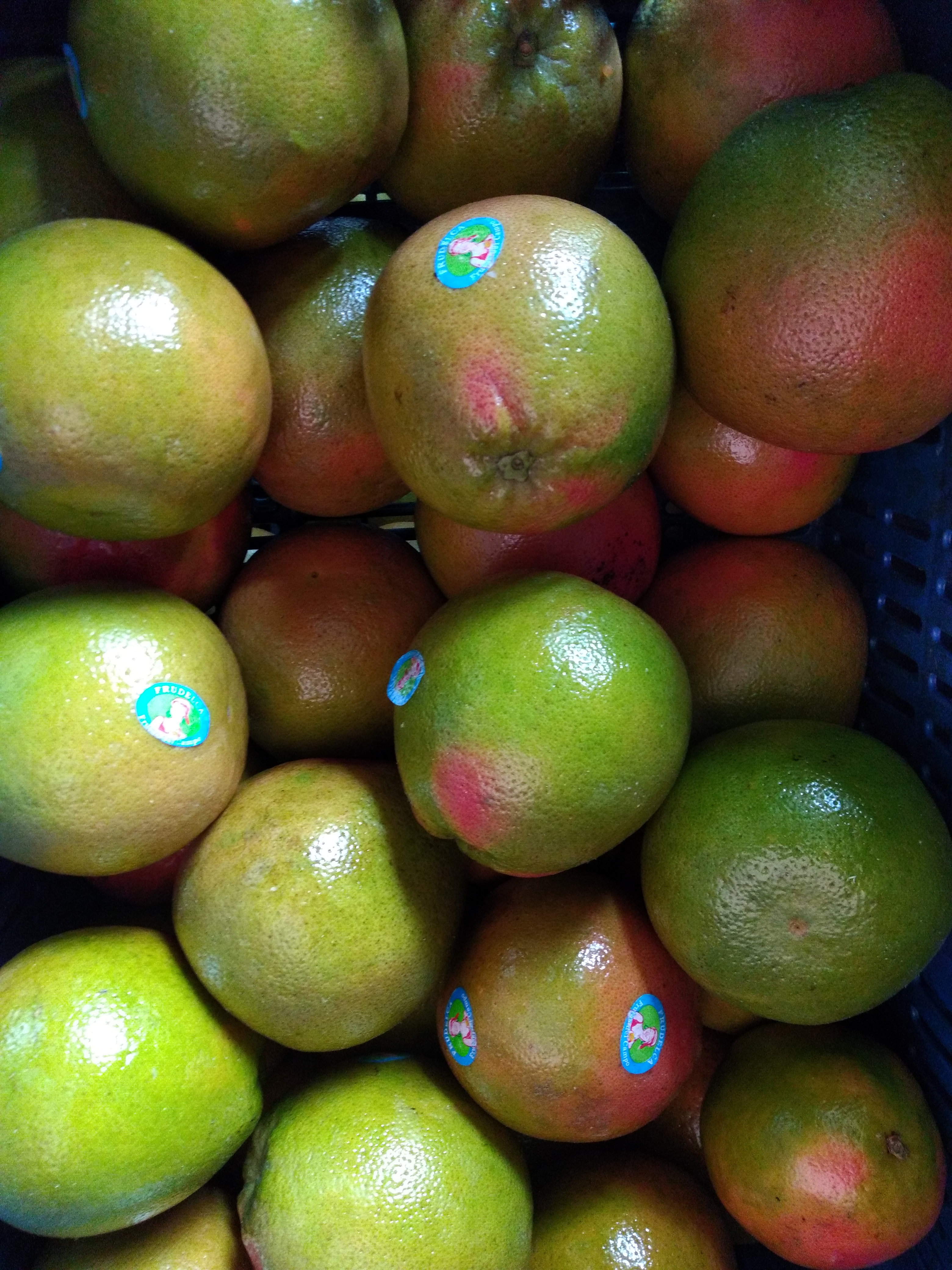 Naranja toronja