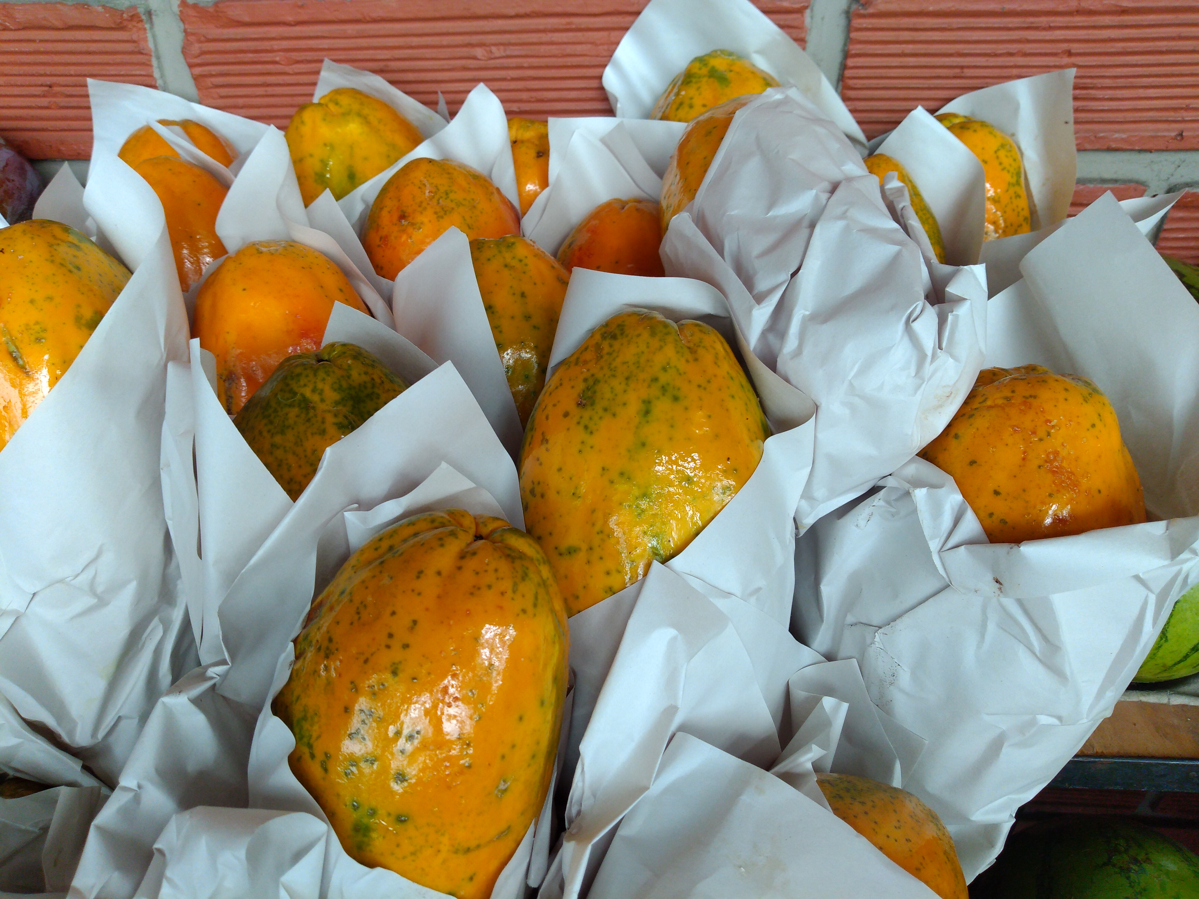 Papaya maradol