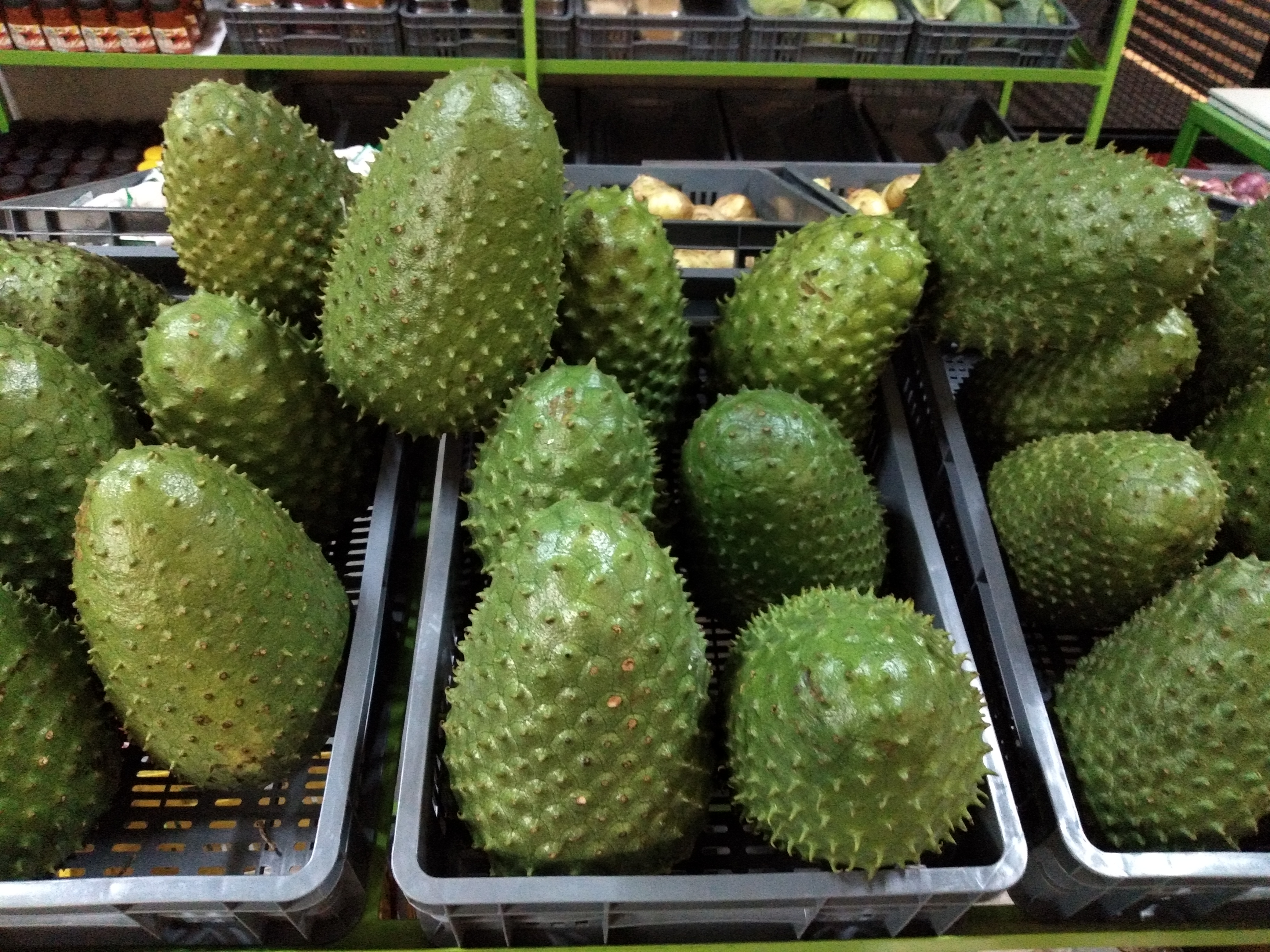 Guanabana