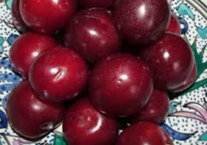 Arandano