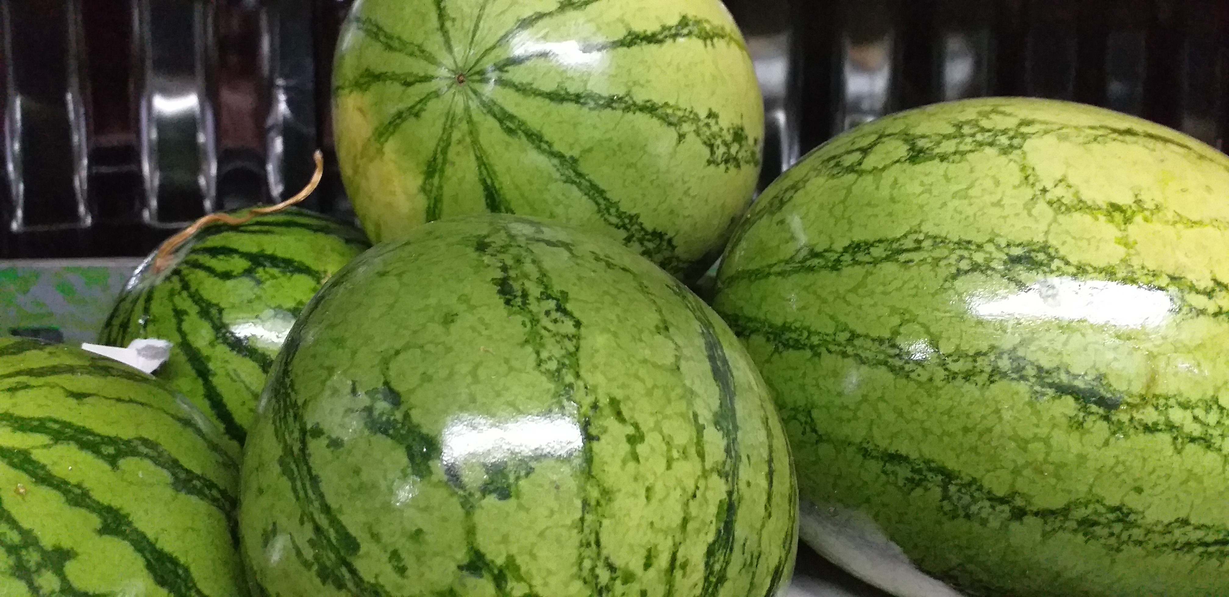 Sandia baby