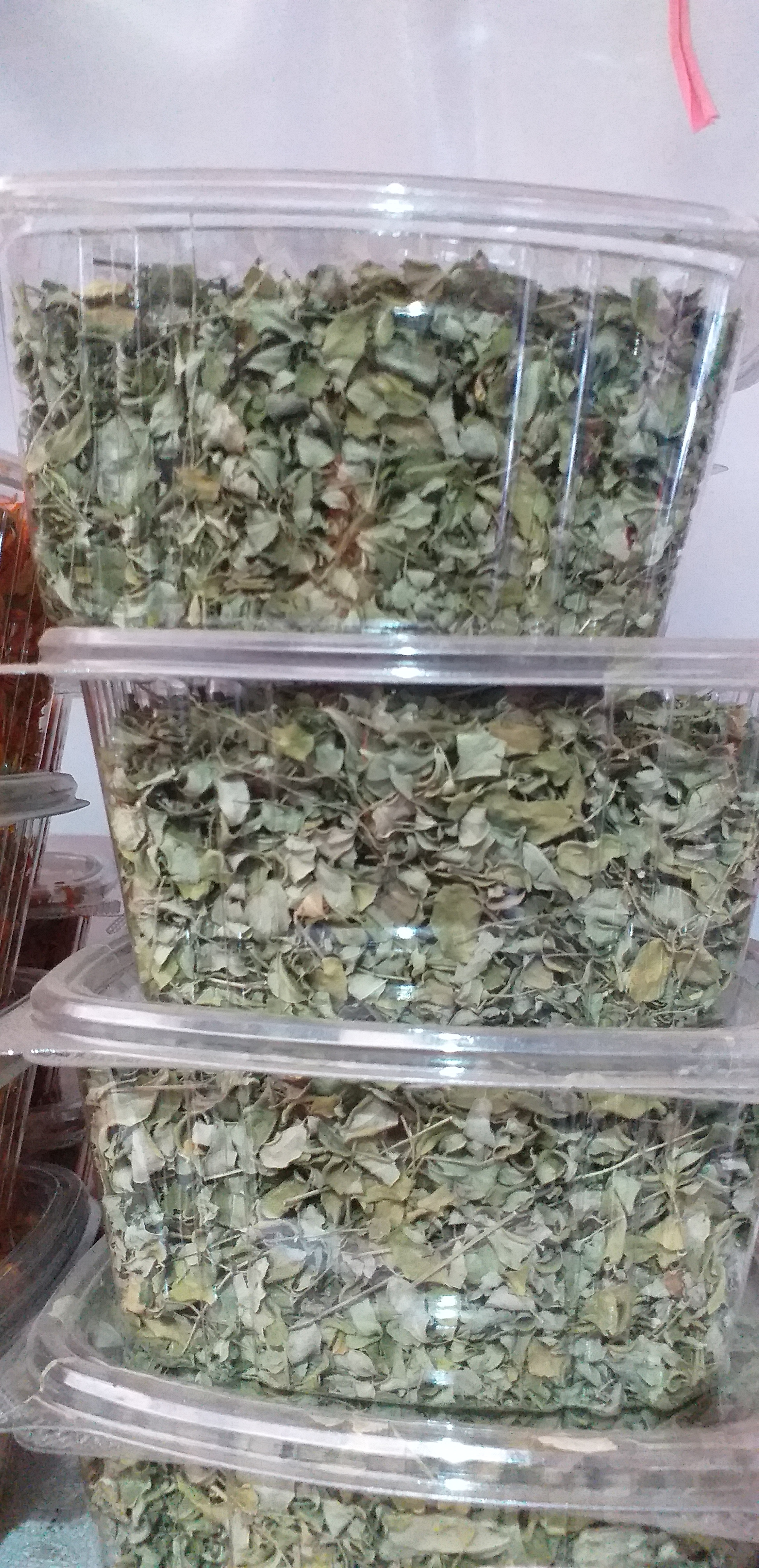 Moringa