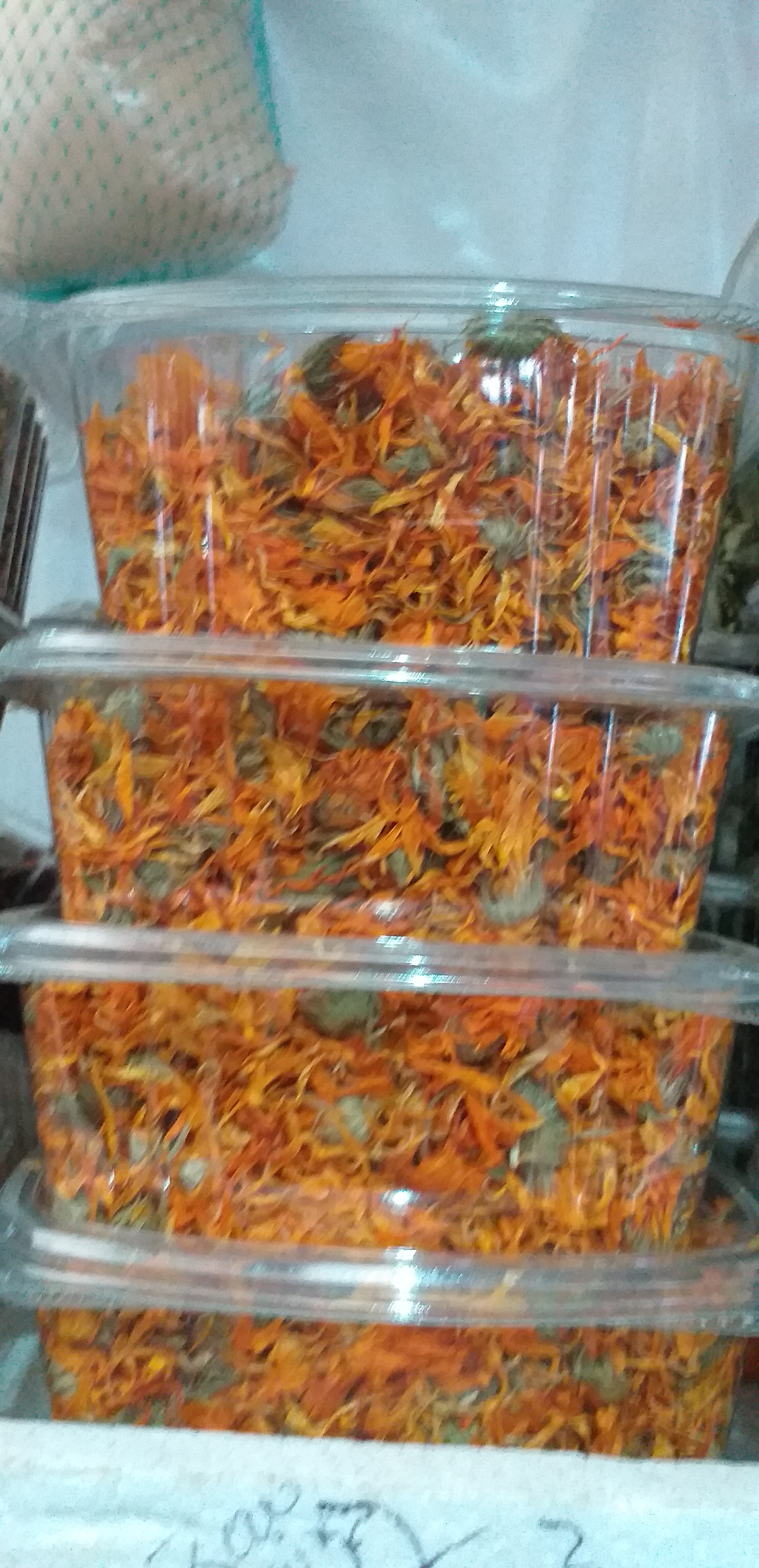 Calendula
