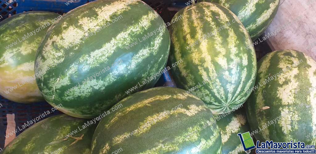 Sandia baby