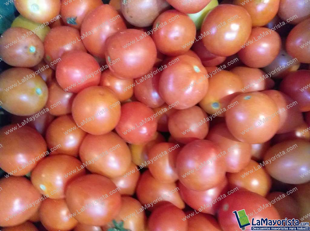 Tomate chonto