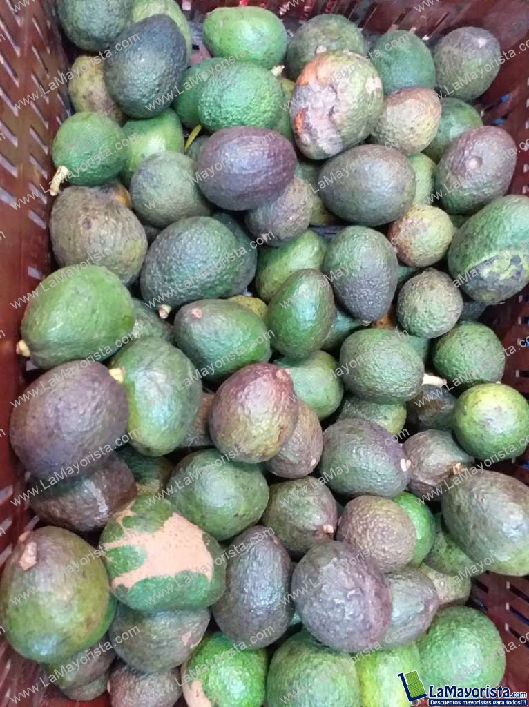 Aguacate hass