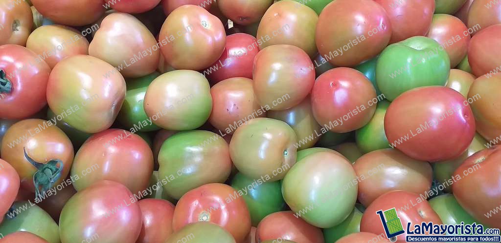 Tomate chonto pinton