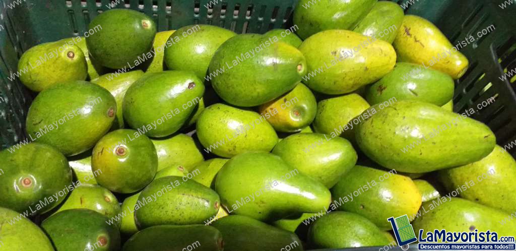 Aguacate papelillo de 2da