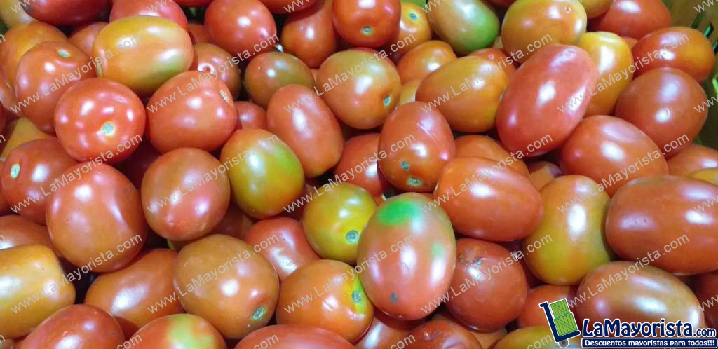 Tomate chonto