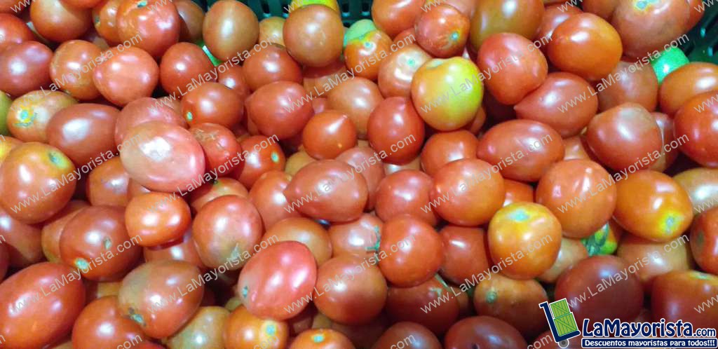 Tomate chonto parejo