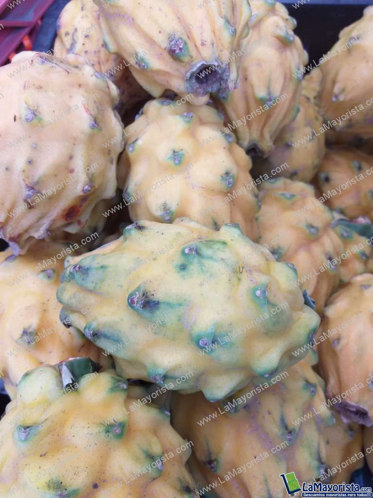 Pitaya
