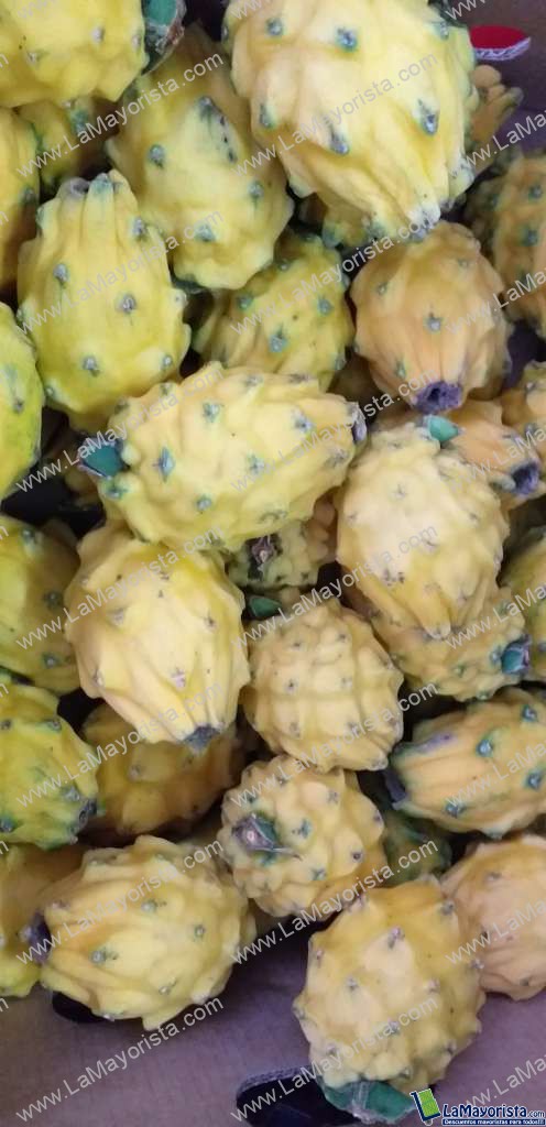 Pitaya ecuatoriana