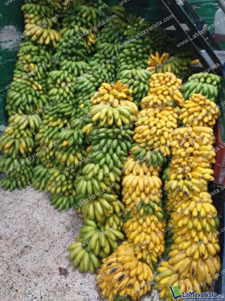 Murrapo