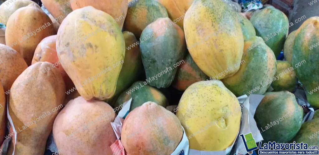 Papaya tainung