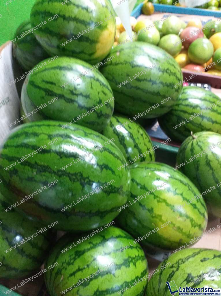 Sandia baby