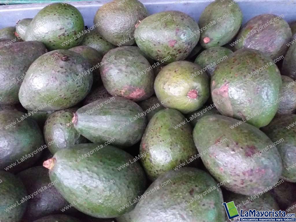 Aguacate fuerte ( guatemalteco)